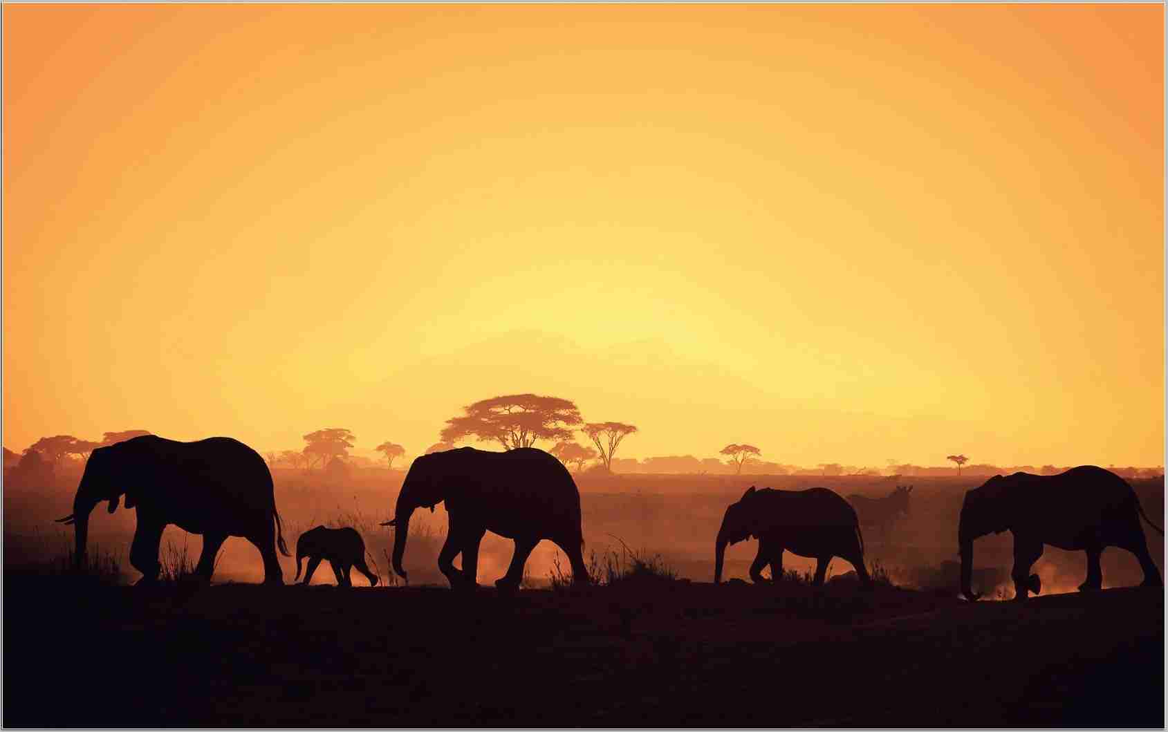 Best Africa Wallpapers