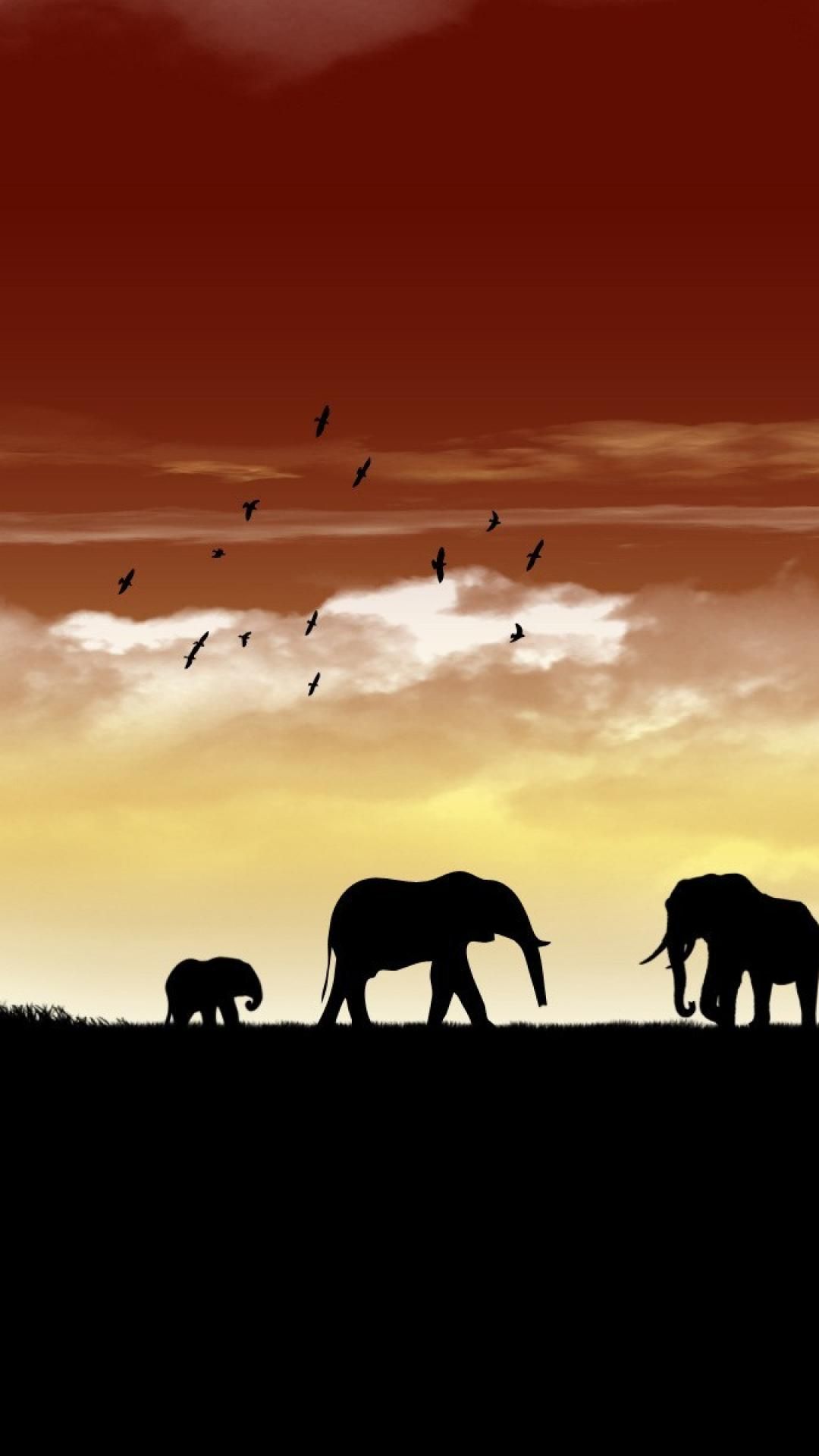 Best Africa Wallpapers