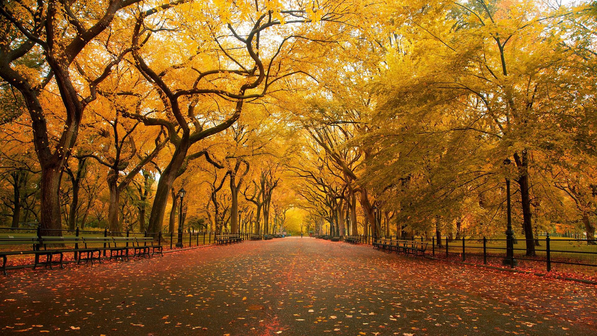 Best Autumn Wallpapers