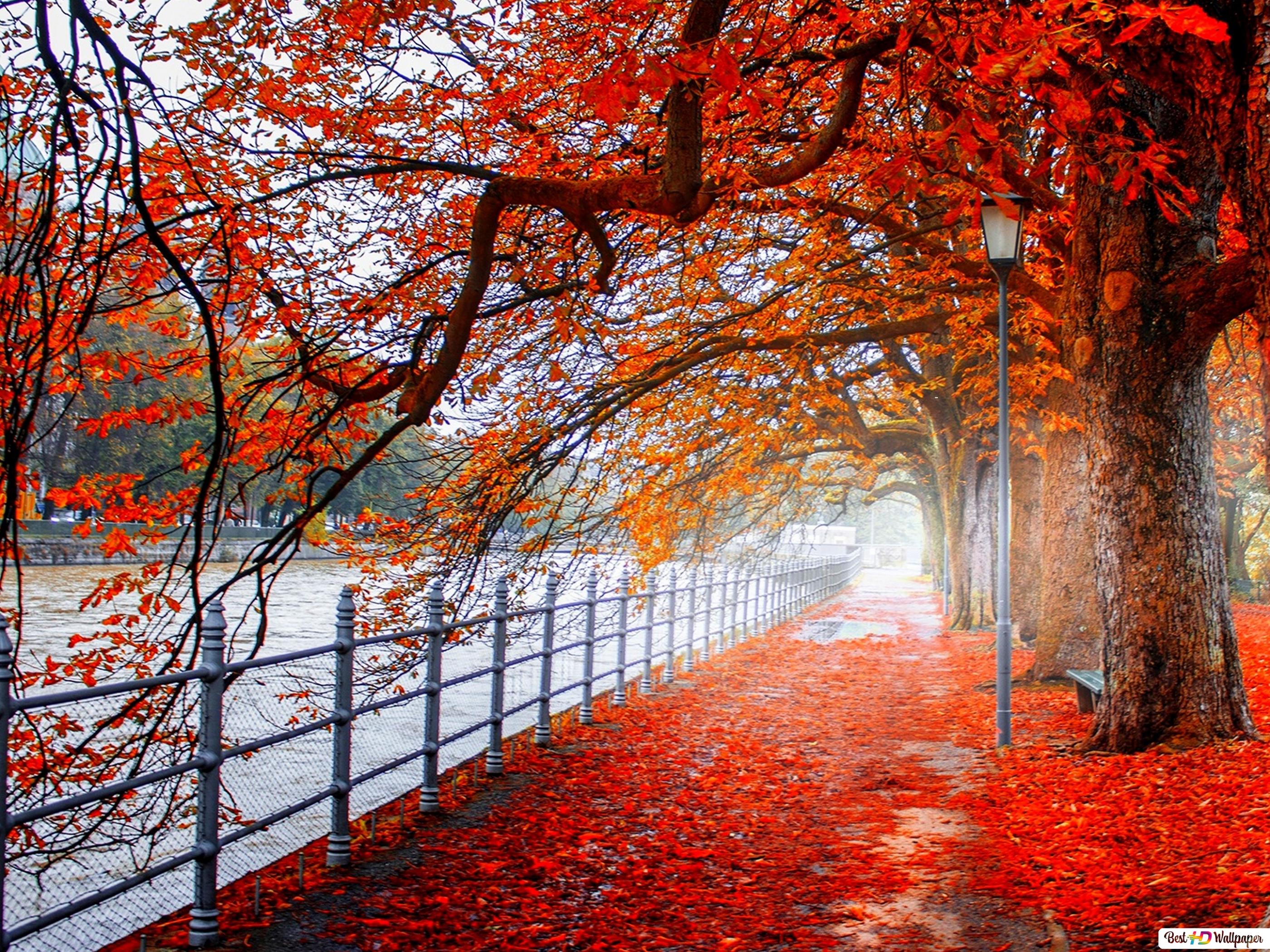 Best Autumn Wallpapers