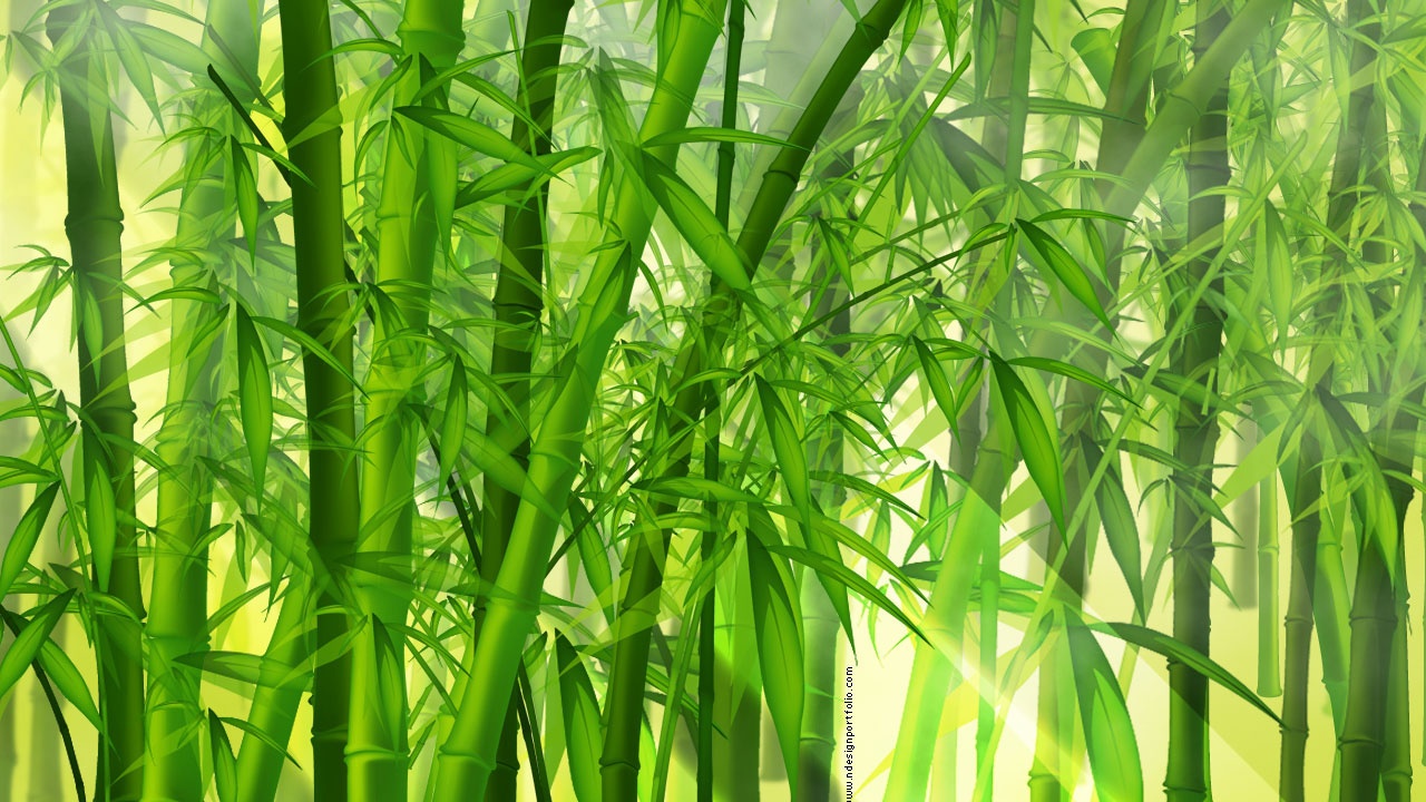 Best Bamboo Wallpapers