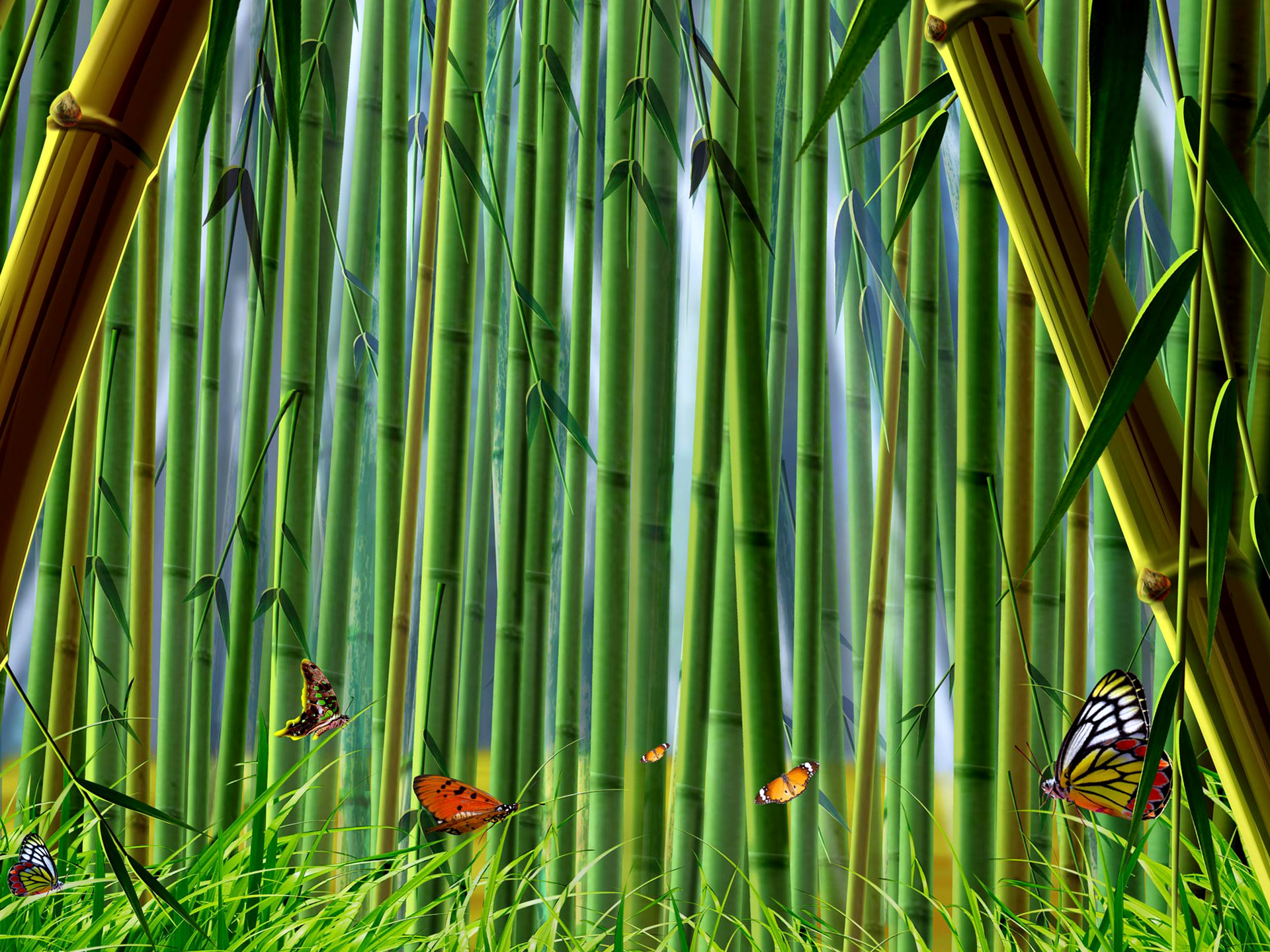 Best Bamboo Wallpapers