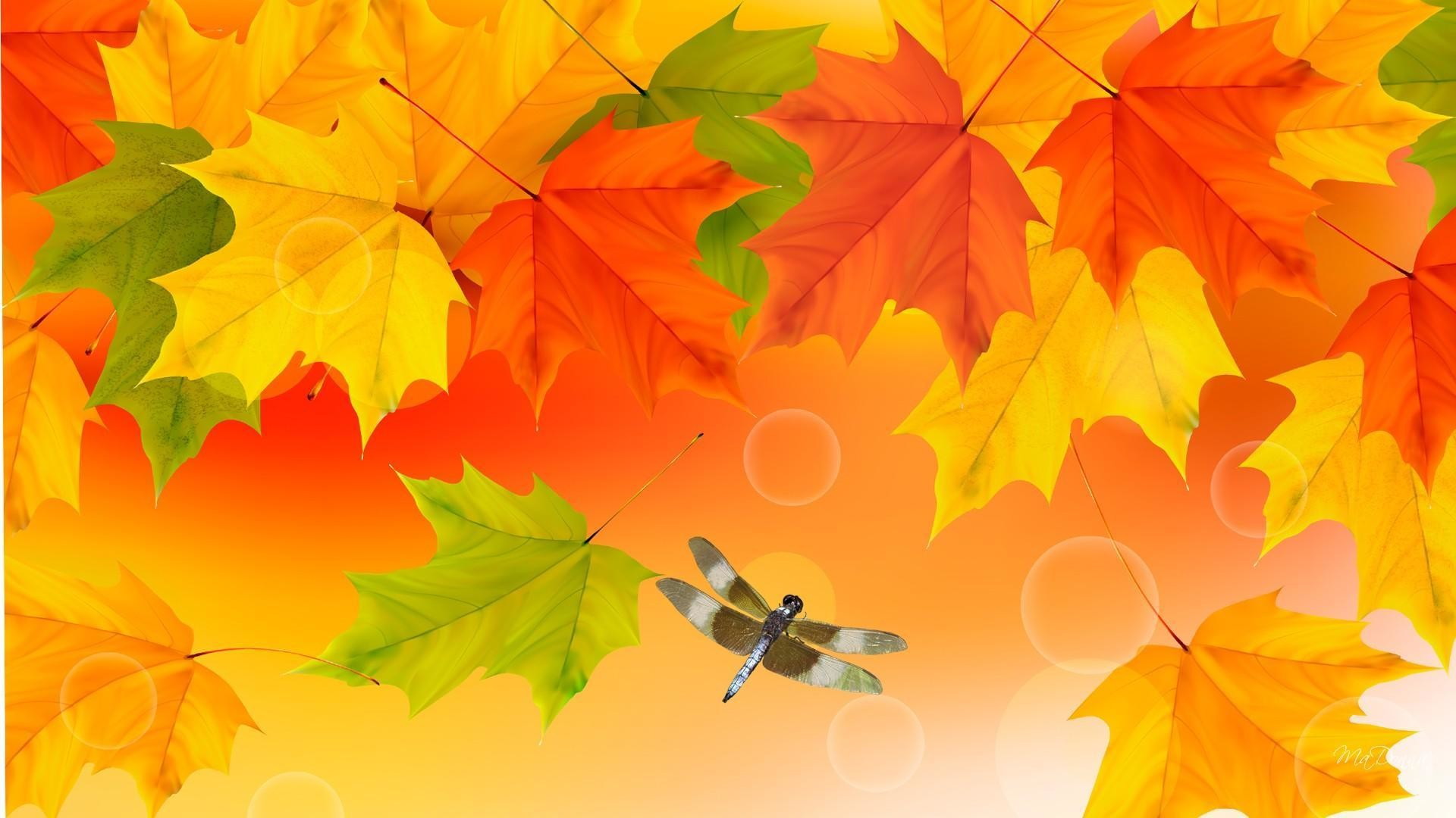 Best Fall Wallpapers