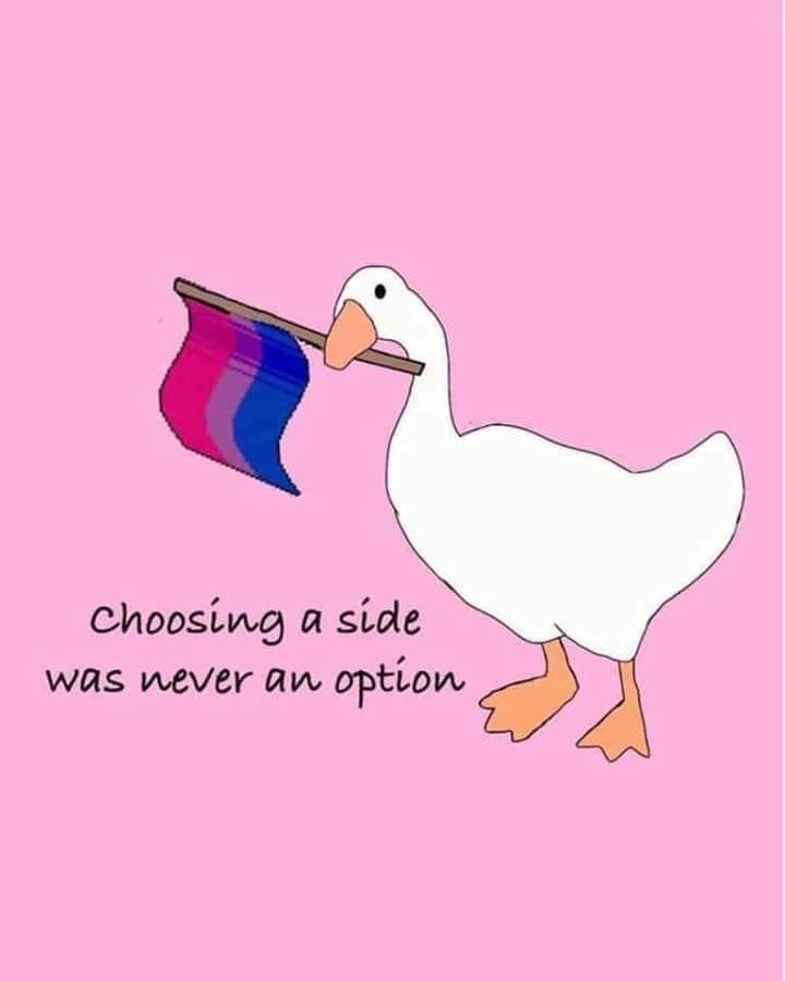 Bi Pride Wallpapers