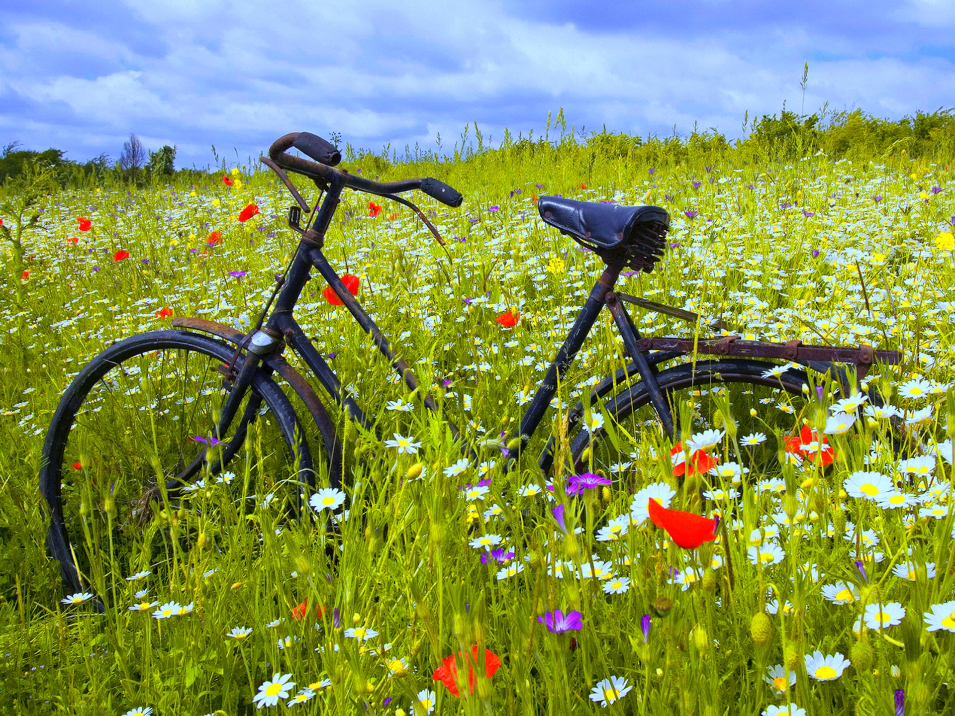 Bicycle Desktop Wallpapers