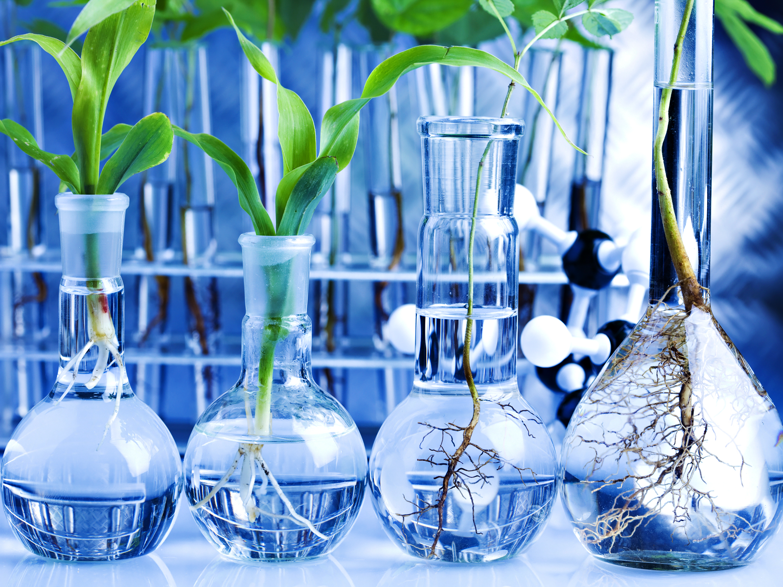 Biotechnology Wallpapers