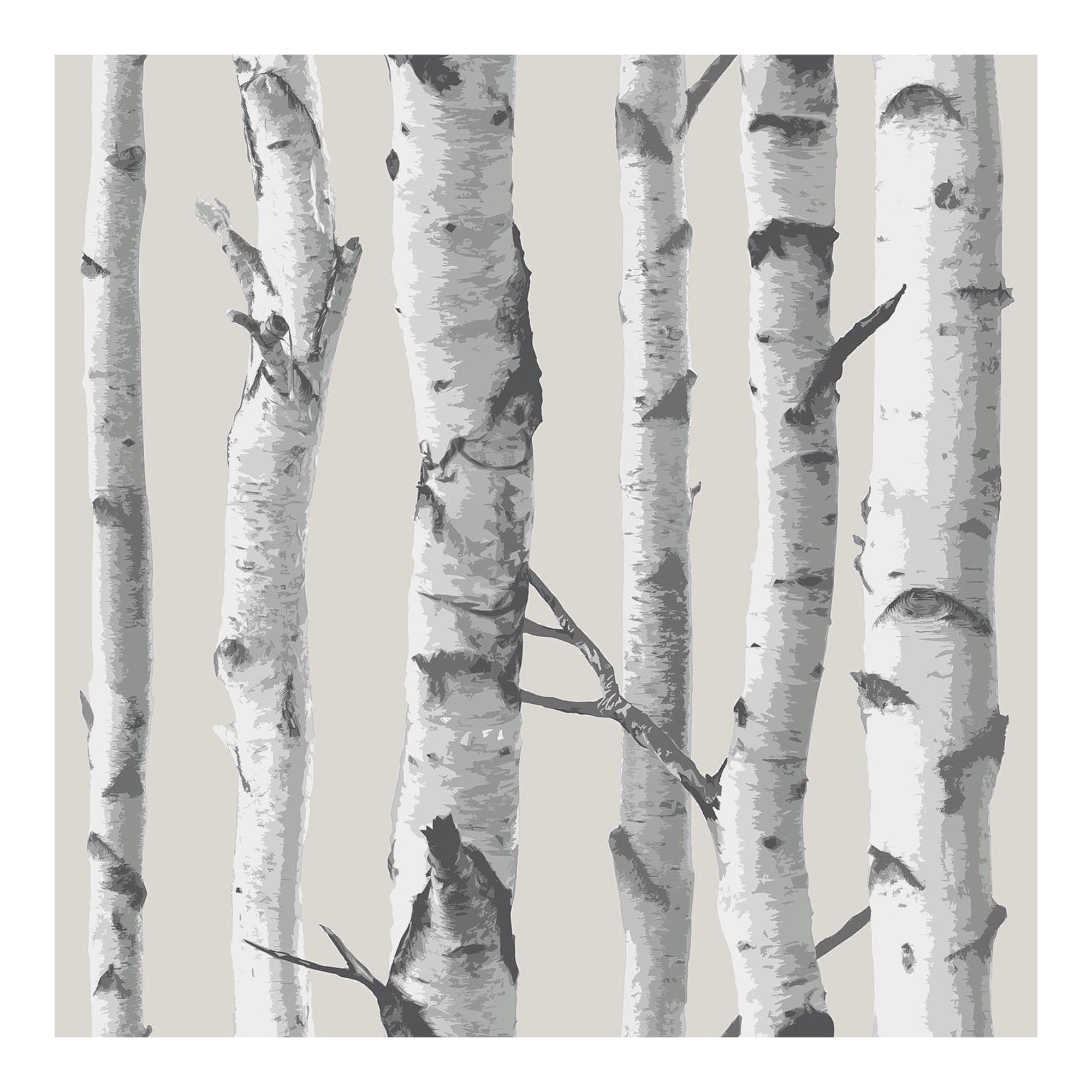 Birch Tree Wallpapers