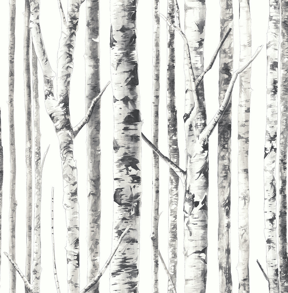 Birch Tree Wallpapers