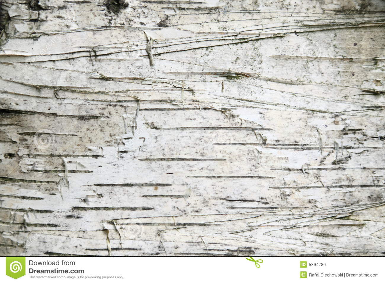 Birch Tree Ikea Wallpapers