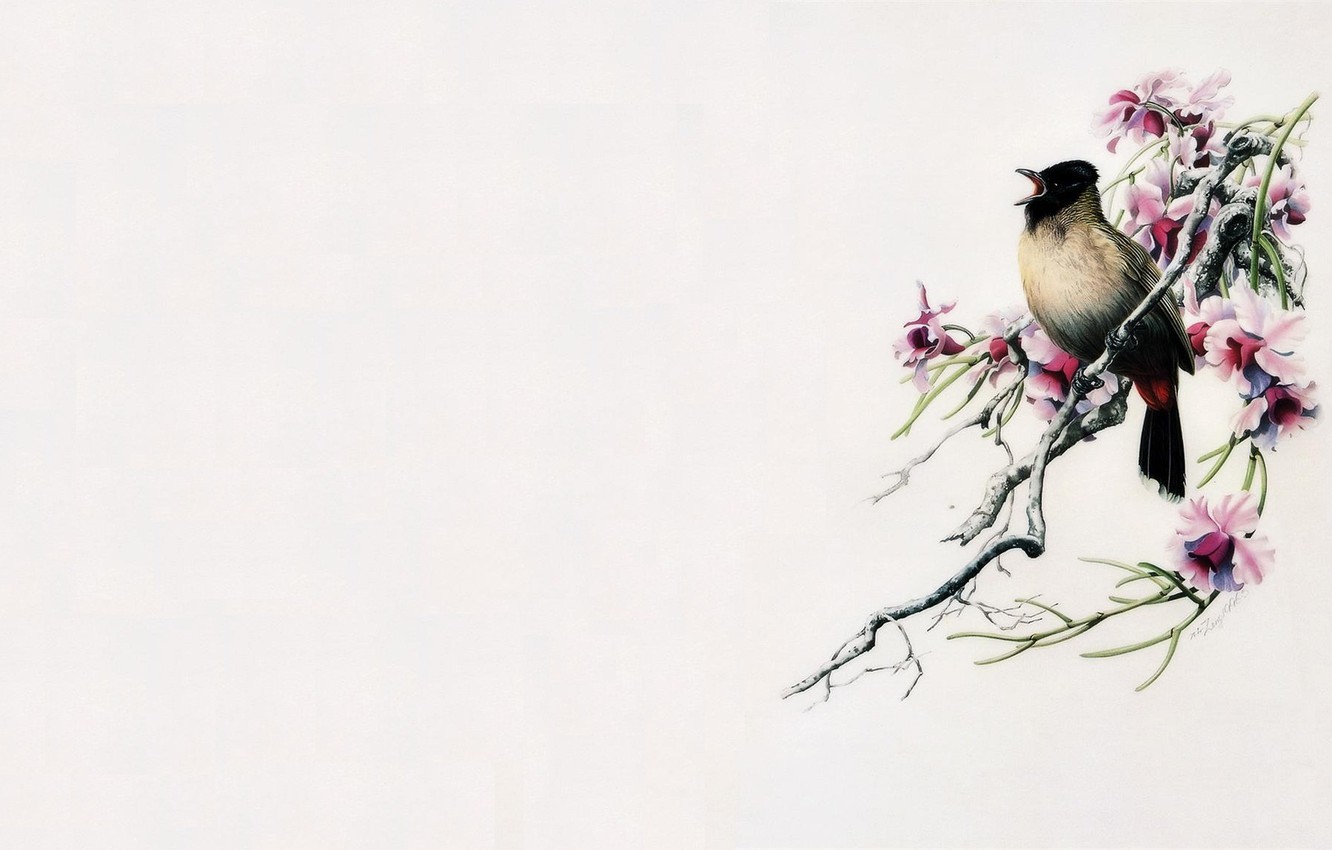 Bird Painting Images Wallpapers