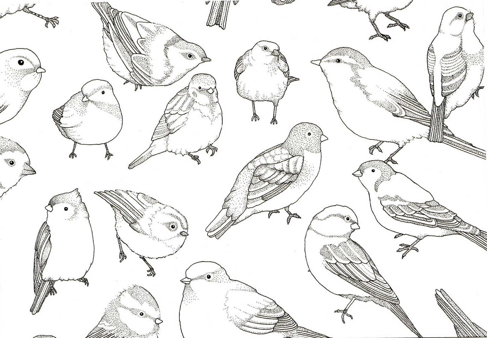 Bird Pattern Wallpapers