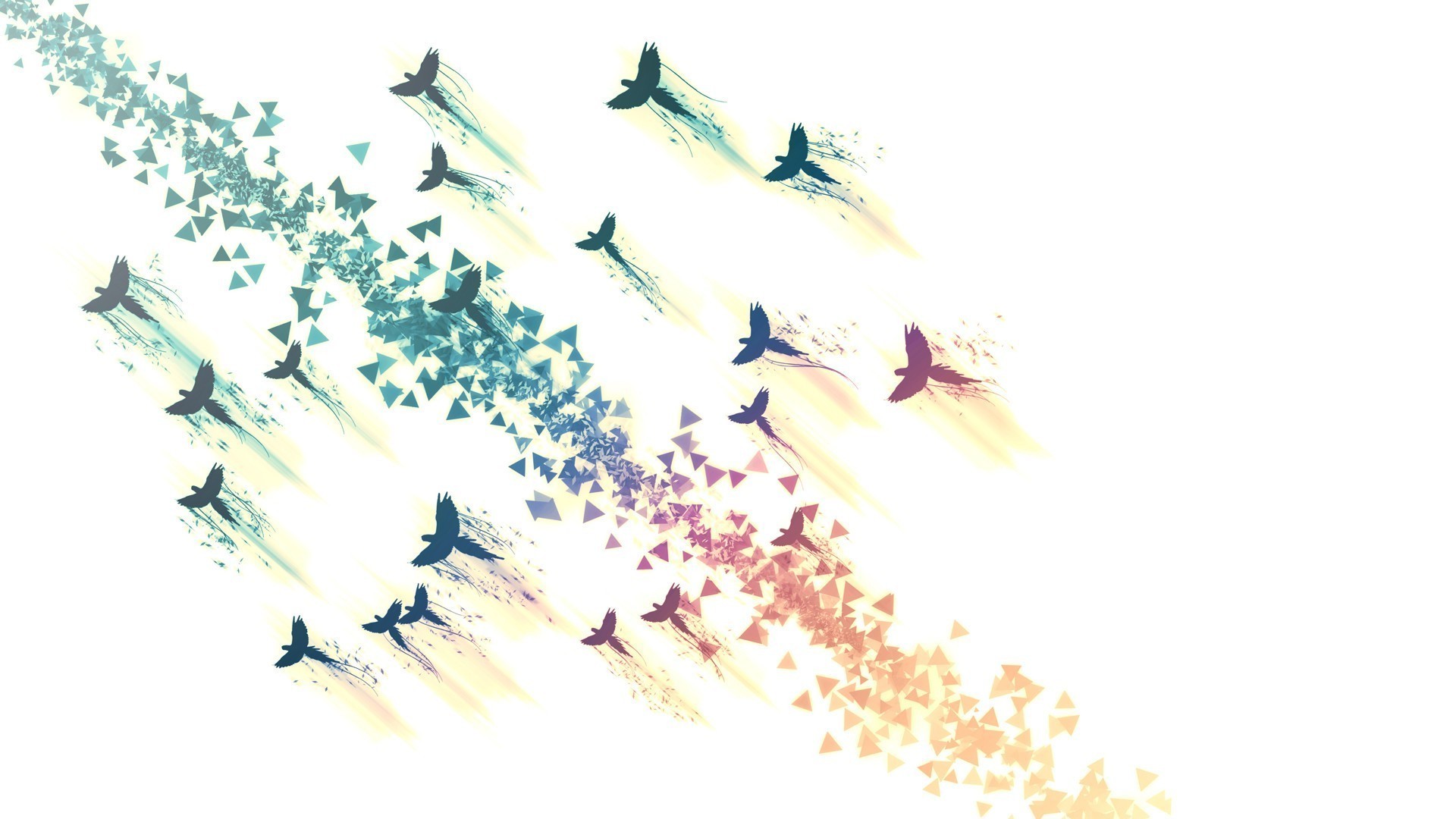 Bird Silhouette Wallpapers