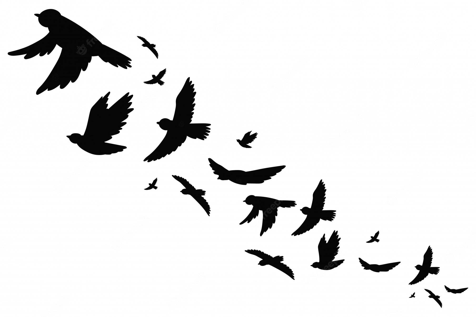 Bird Silhouette Wallpapers