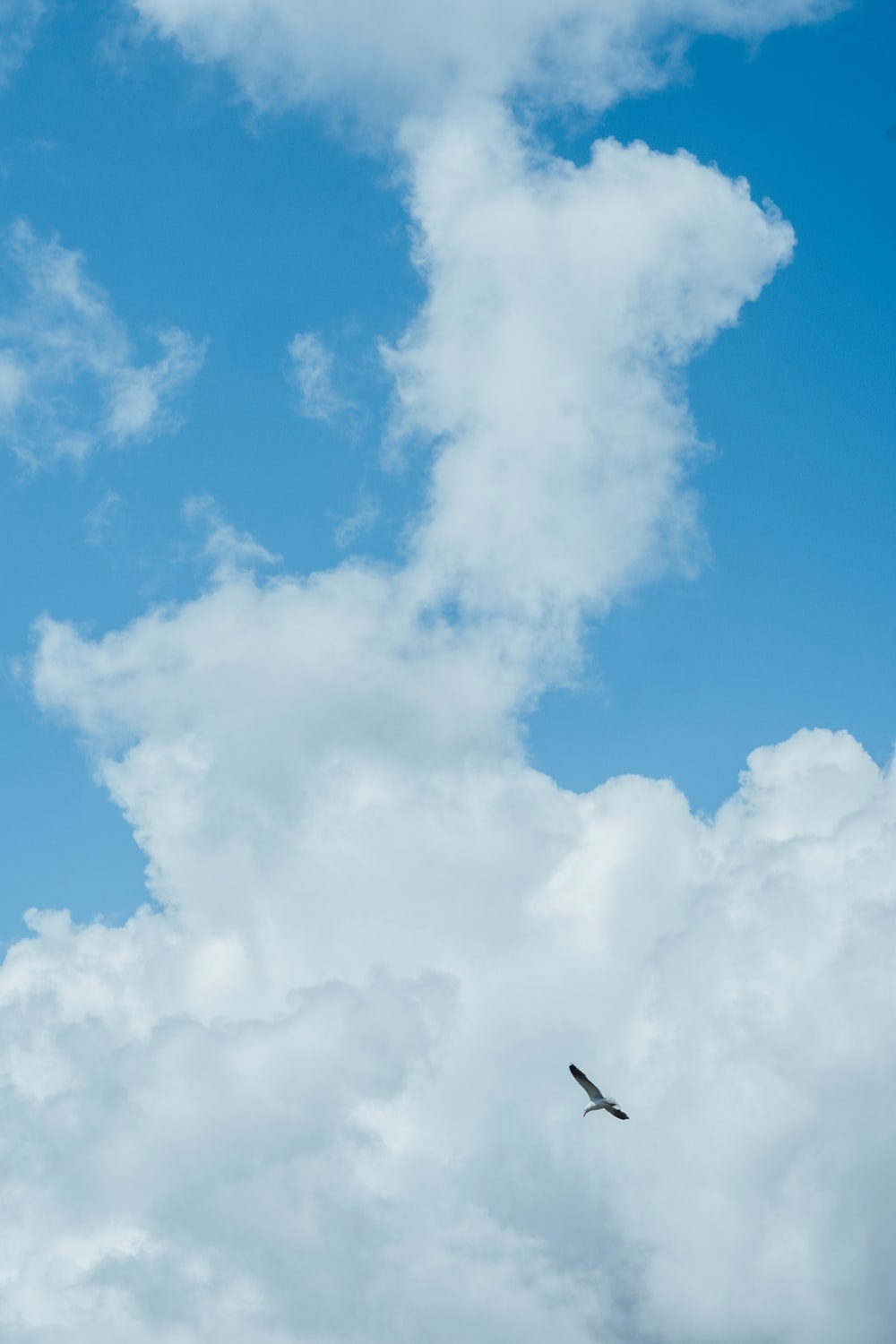 Birds And Clouds Wallpapers