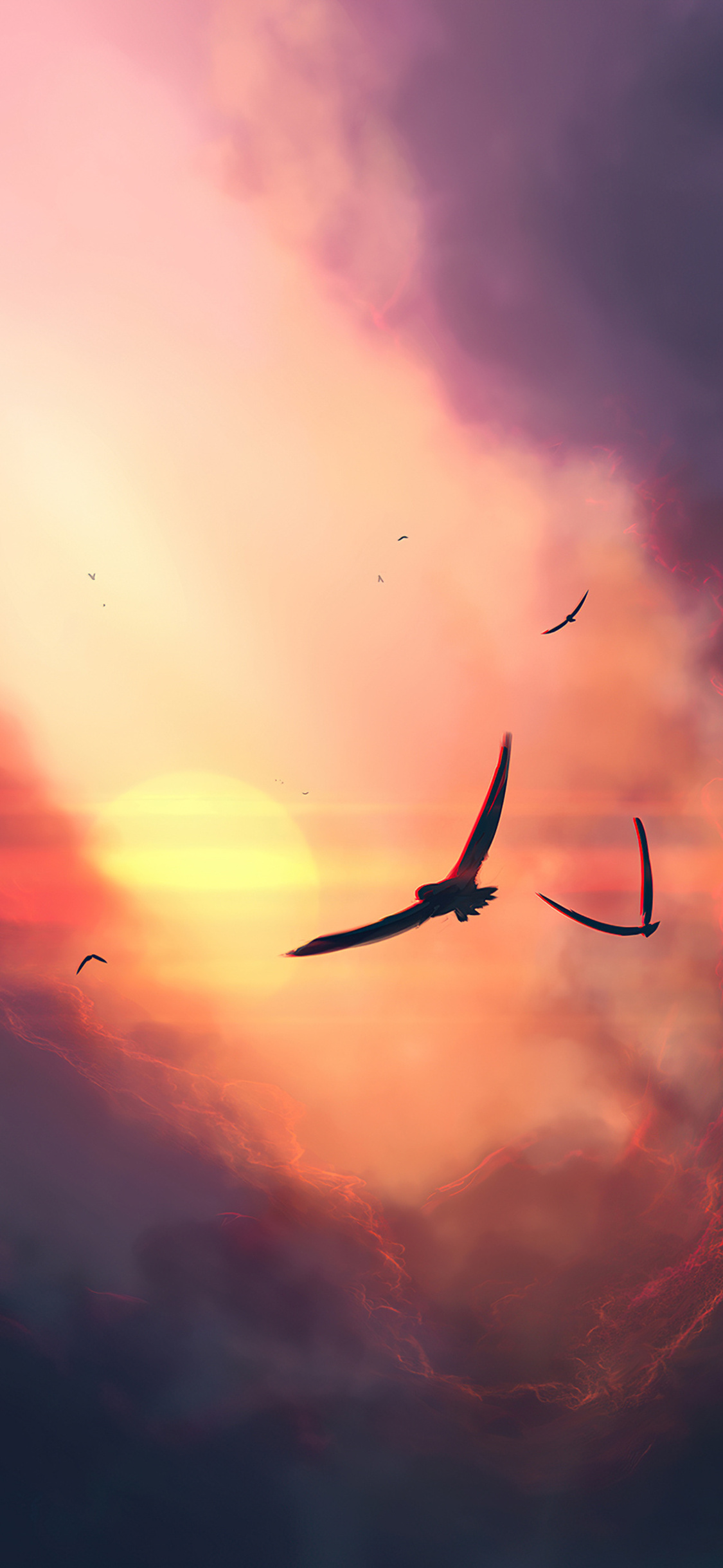 Birds And Clouds Wallpapers