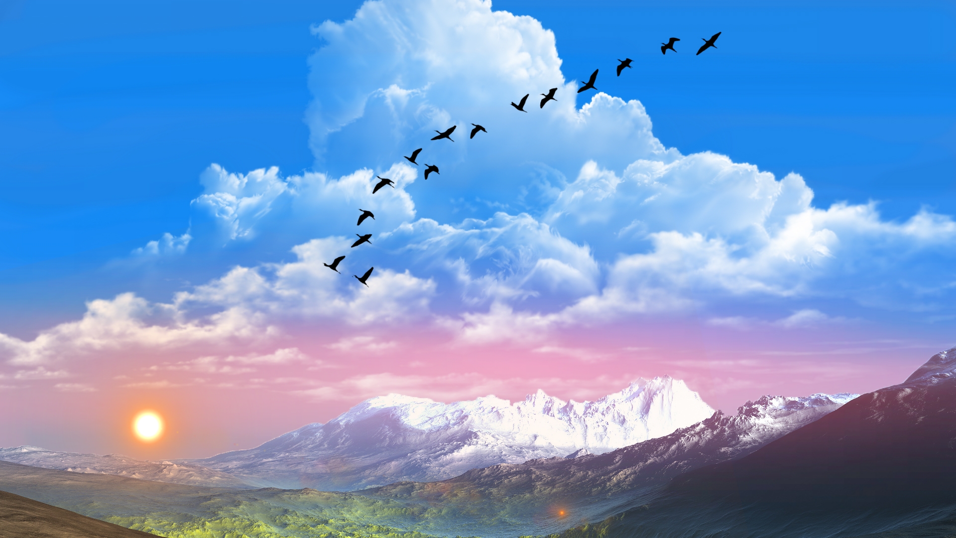 Birds And Clouds Wallpapers