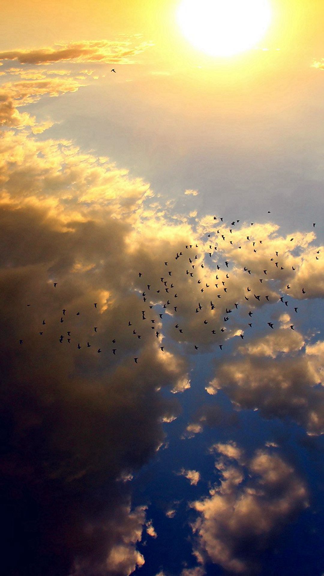 Birds And Clouds Wallpapers