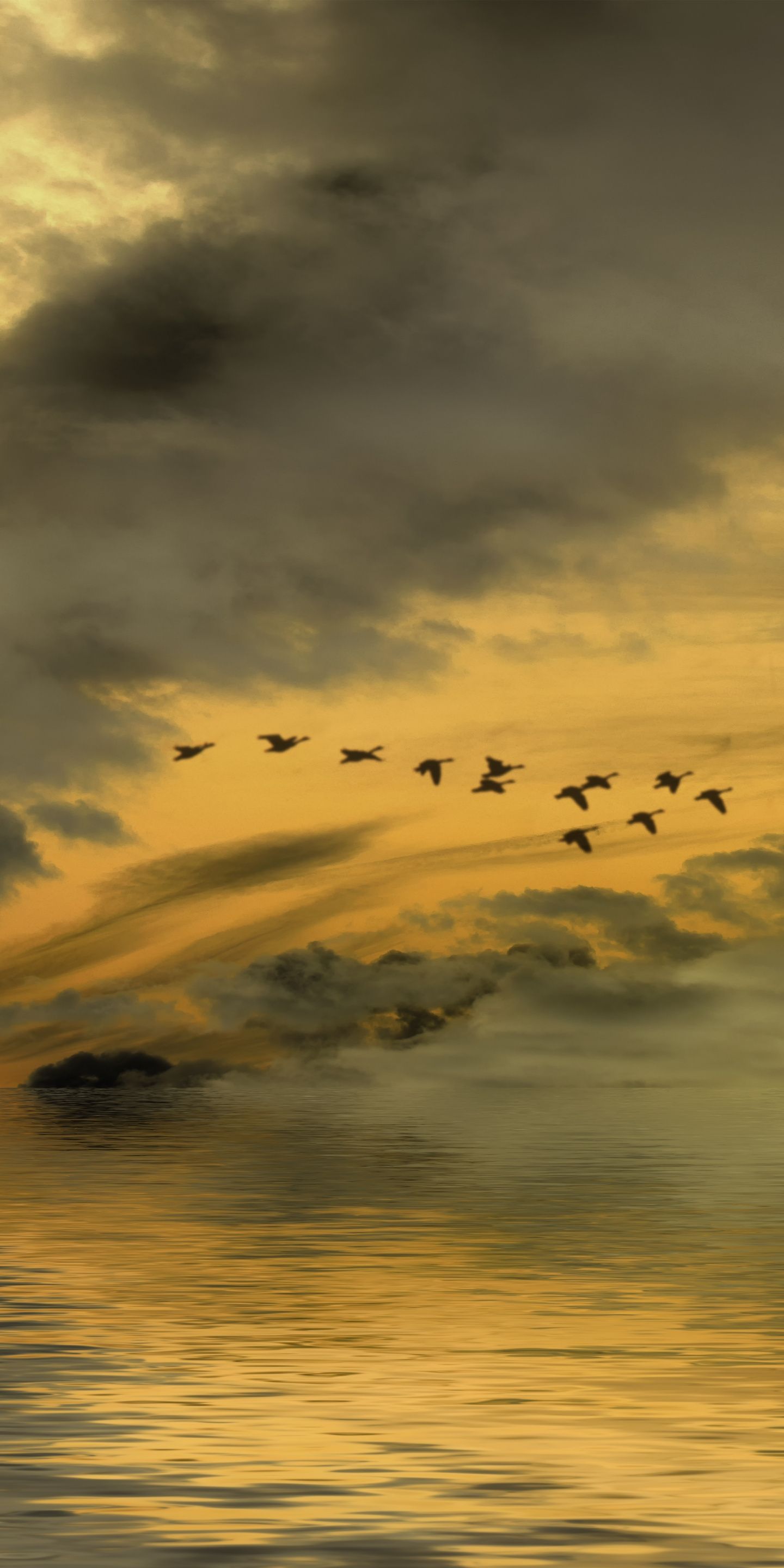 Birds And Clouds Wallpapers