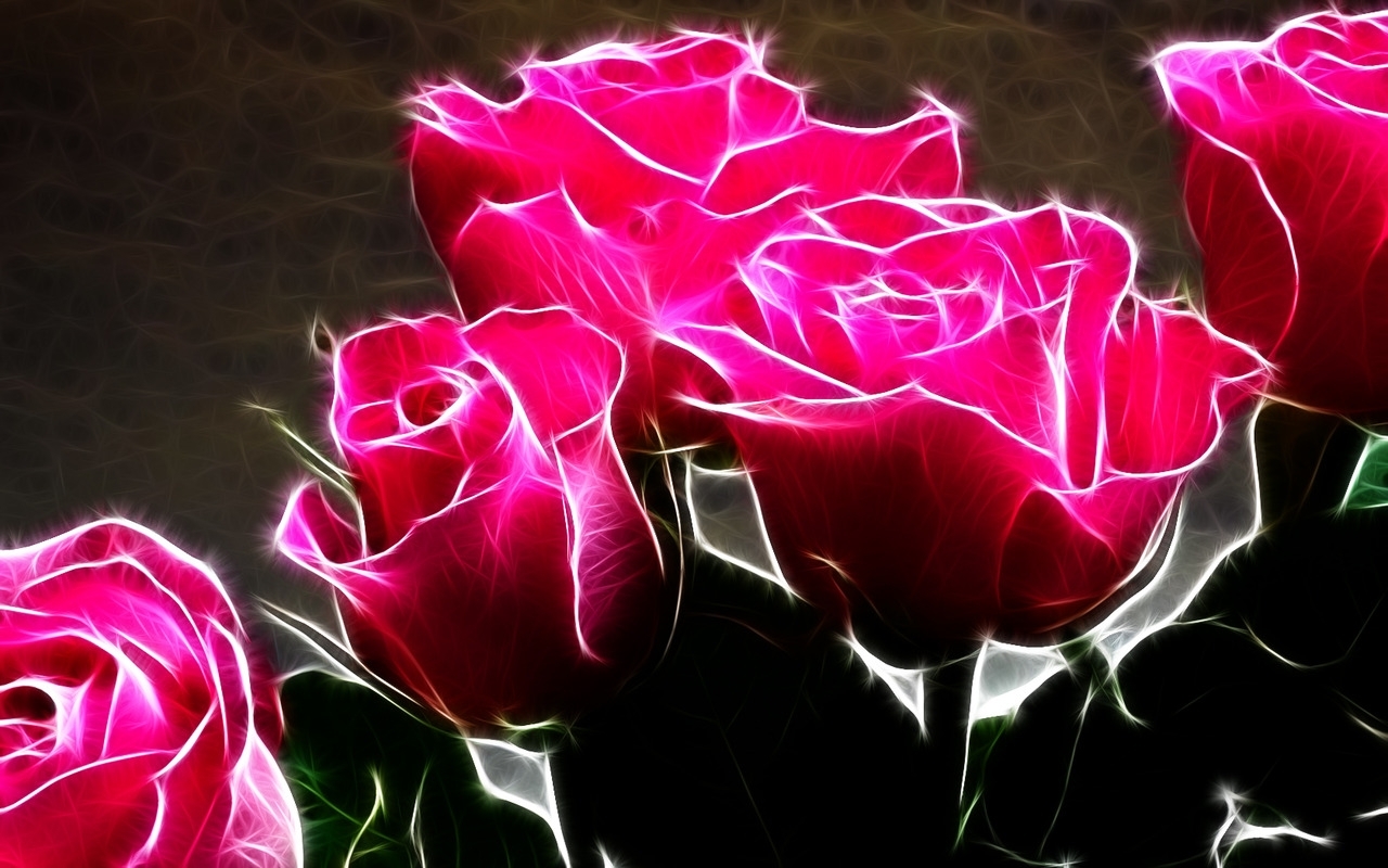 Black And Pink Roses Wallpapers