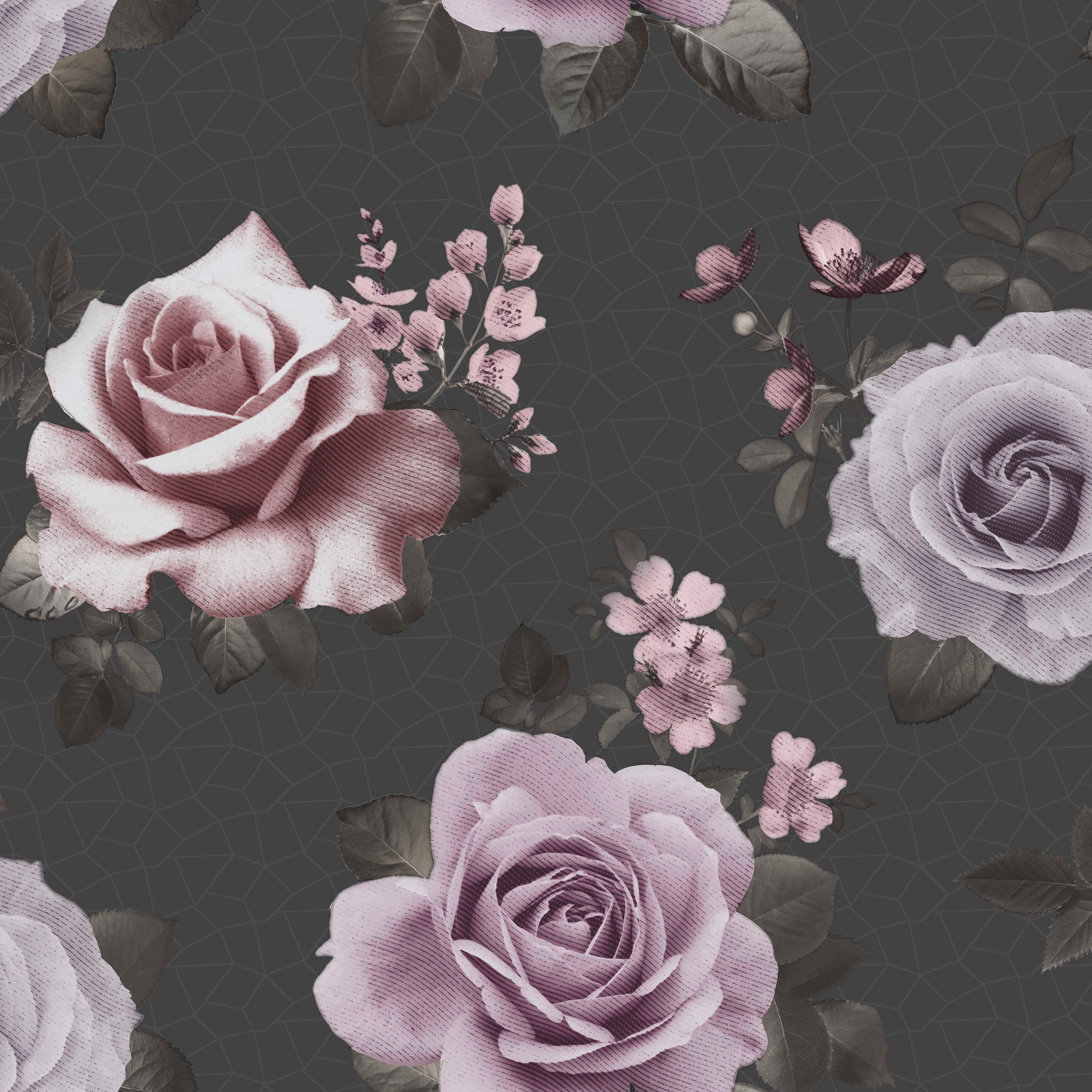 Black And Pink Roses Wallpapers