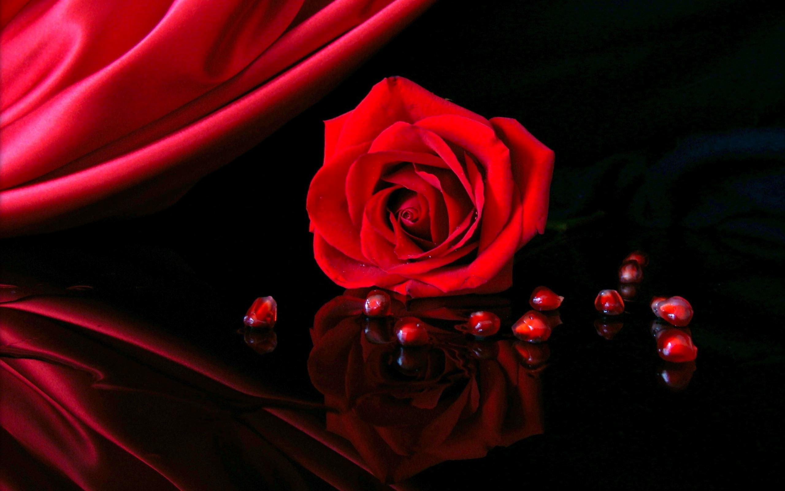 Black And Red Rose Wallpapers