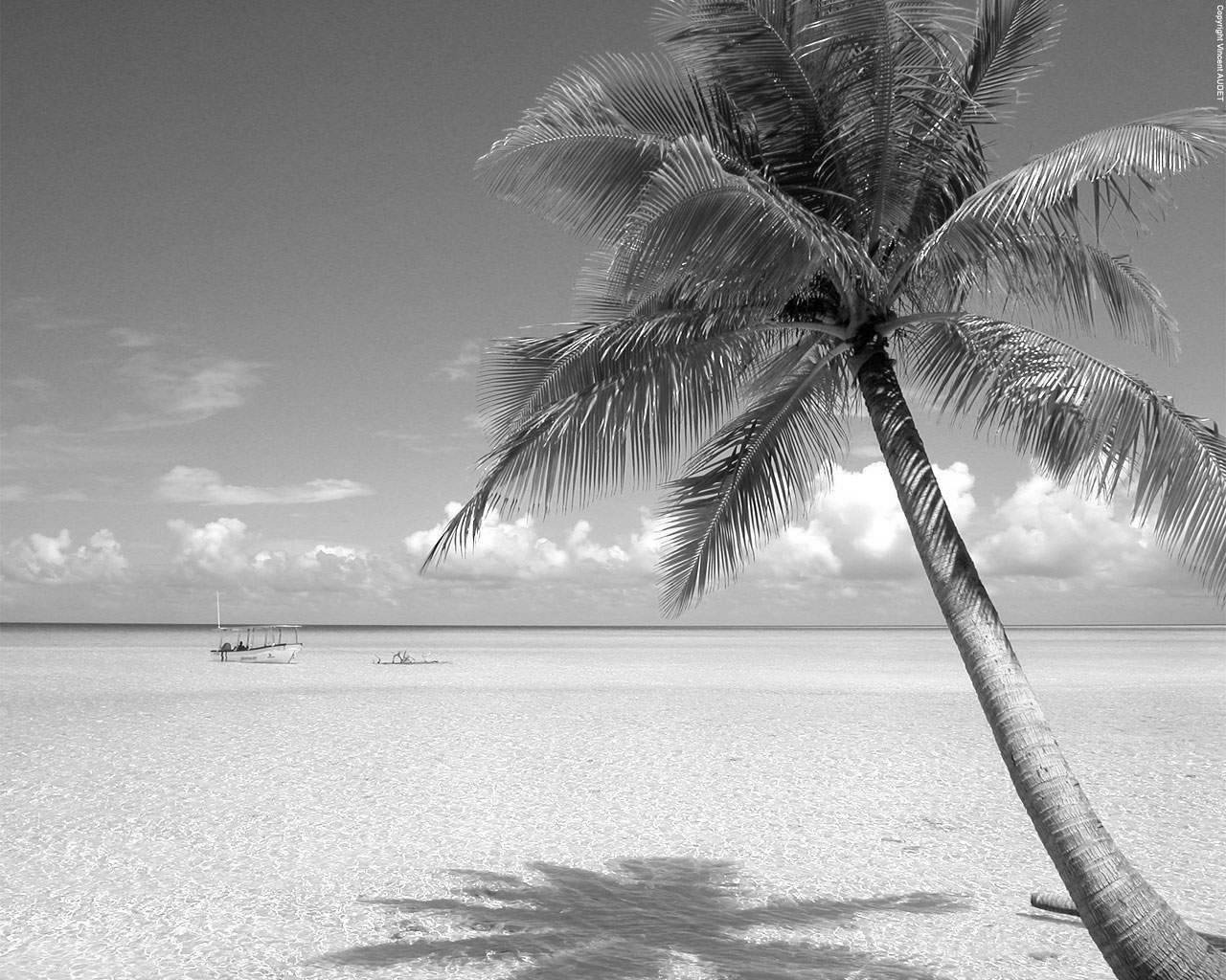 Black And White Beach Wallpapers