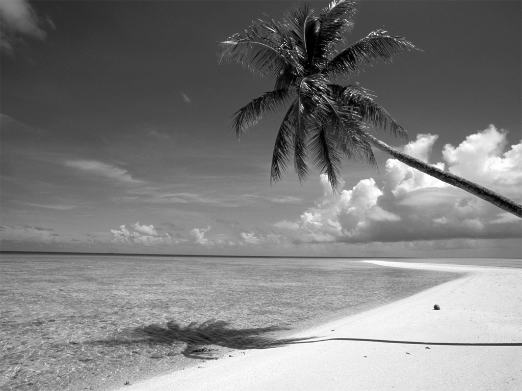 Black And White Beach Wallpapers