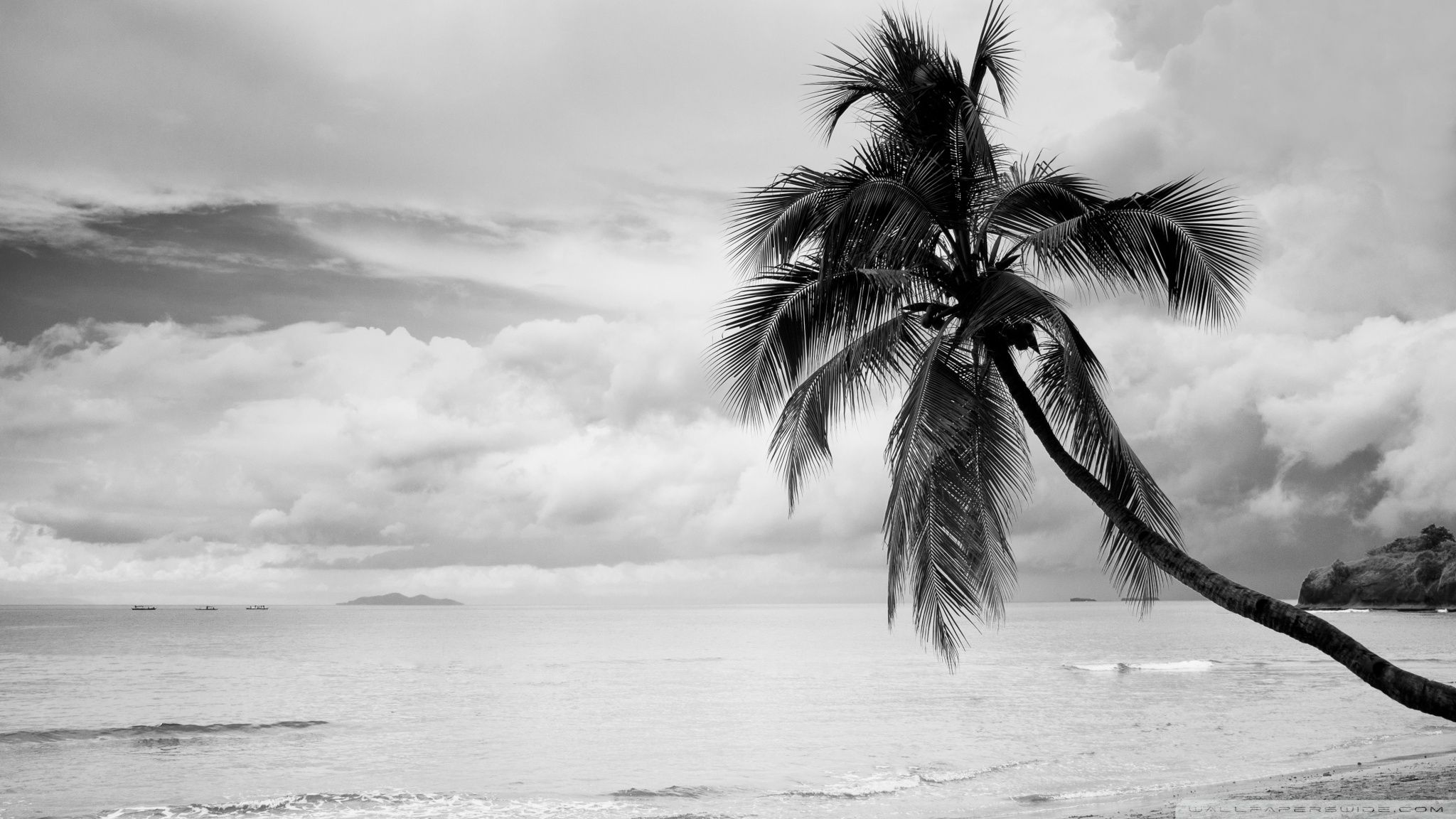 Black And White Beach Wallpapers