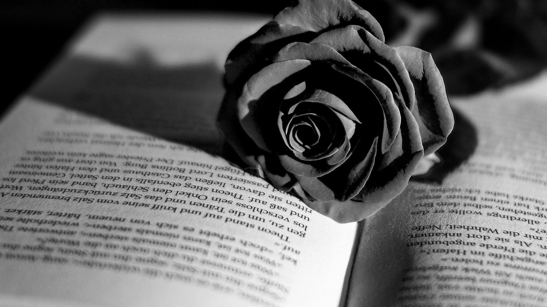 Black And White Books Wallpapers