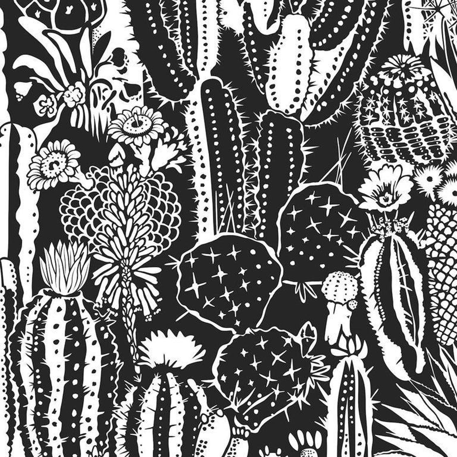 Black And White Cactus Wallpapers