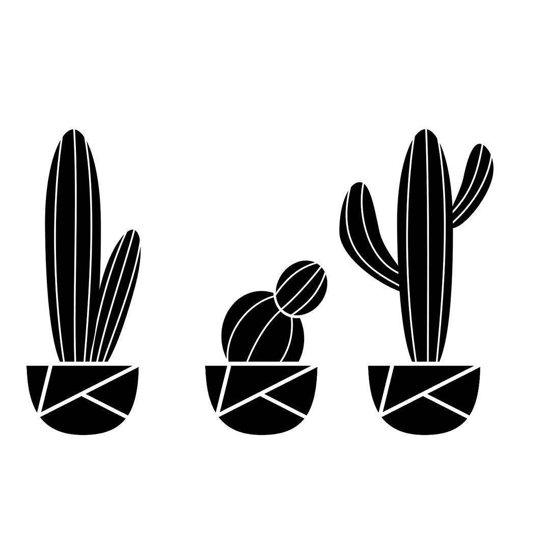 Black And White Cactus Wallpapers