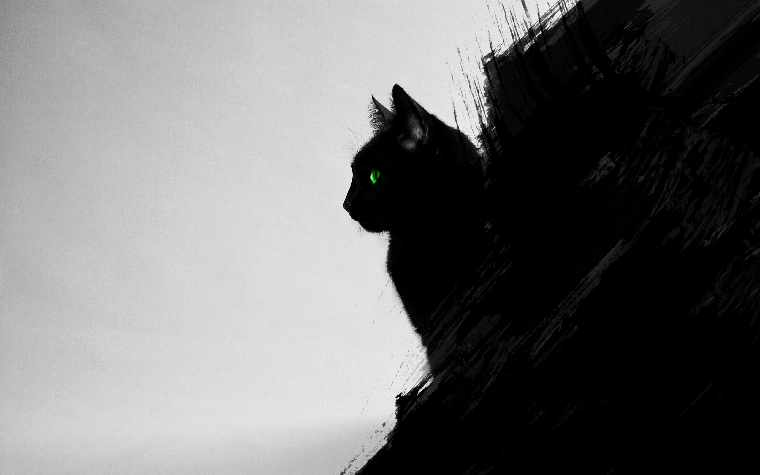 Black And White Cat Art Wallpapers