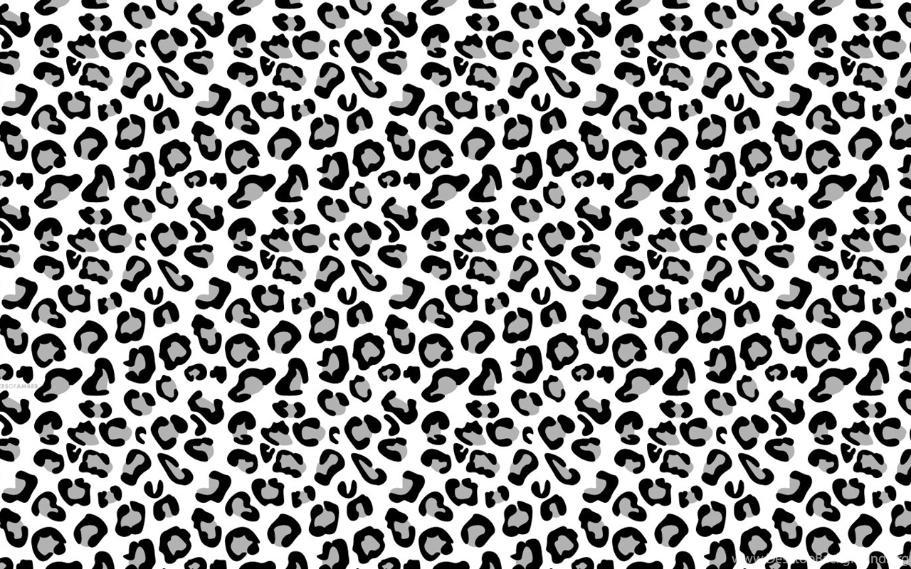 Black And White Cheetah Wallpapers