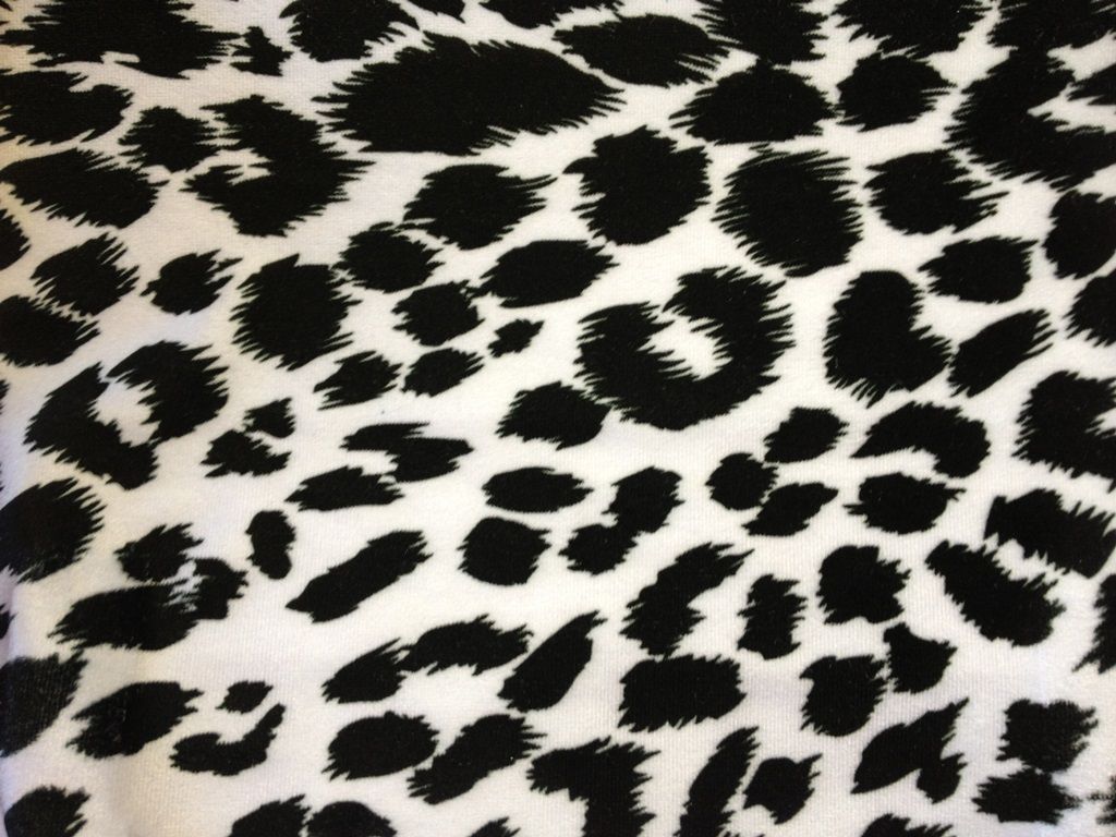 Black And White Cheetah Wallpapers