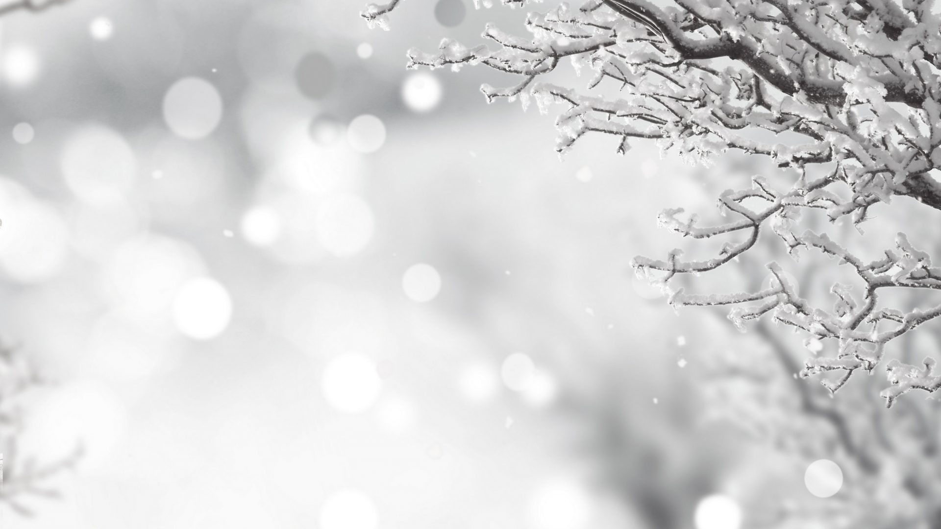 Black And White Christmas Wallpapers