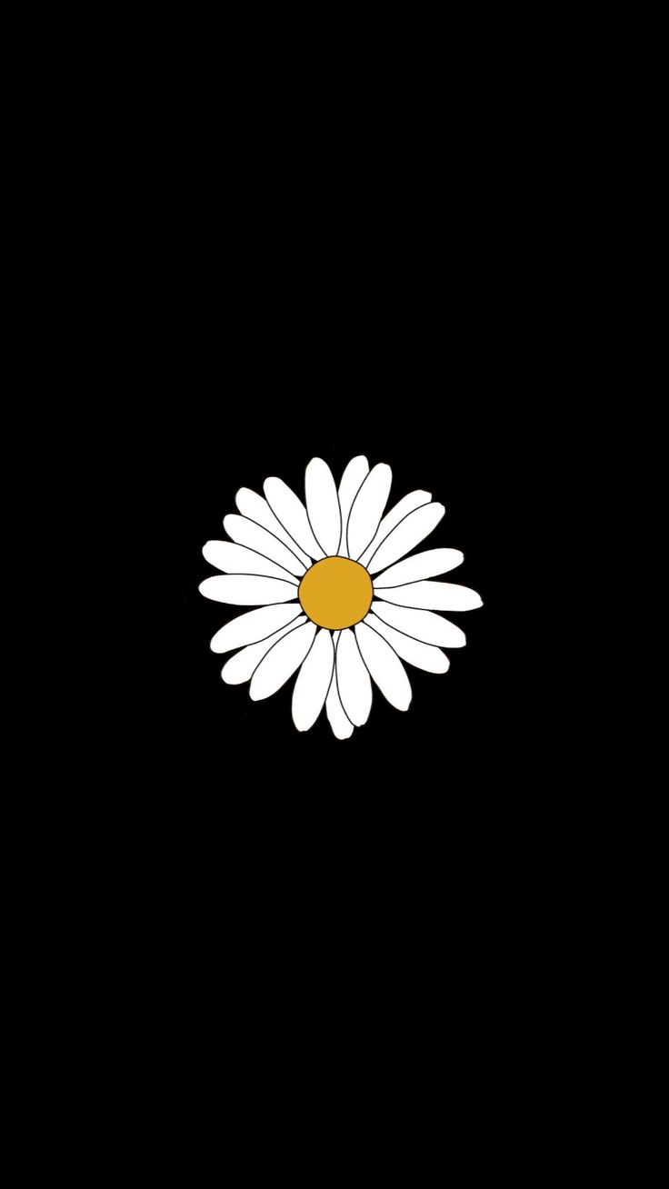 Black And White Daisy Wallpapers