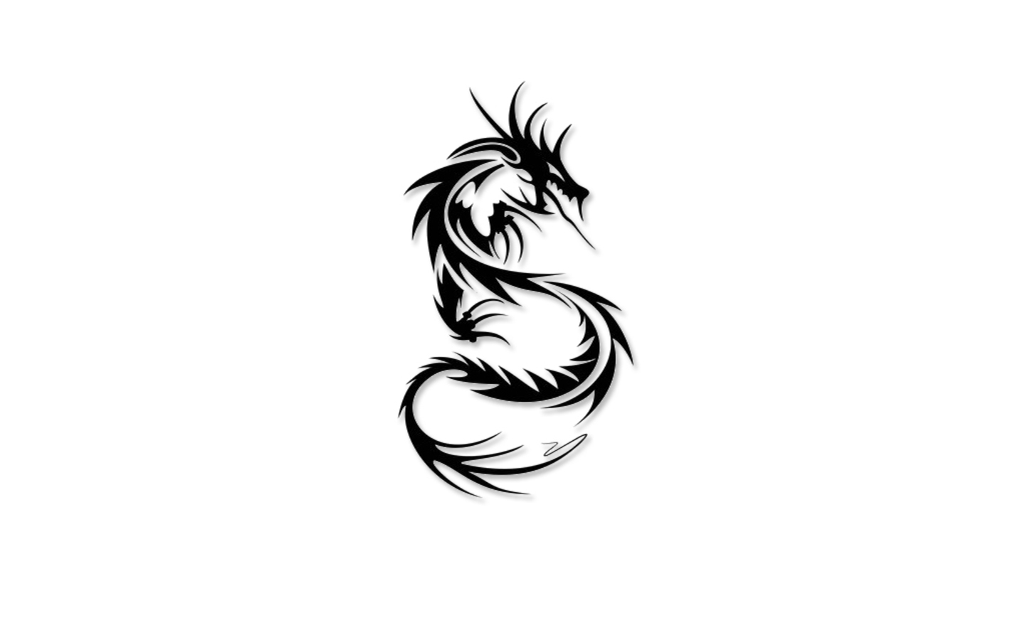 Black And White Dragon Wallpapers