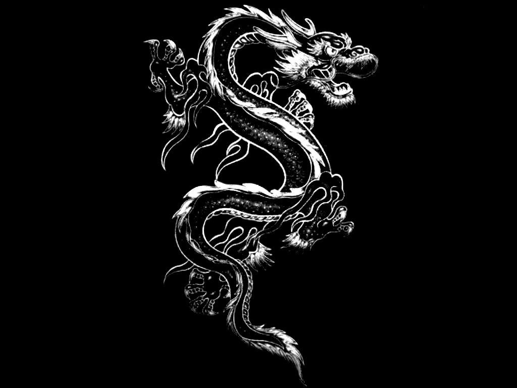 Black And White Dragon Wallpapers