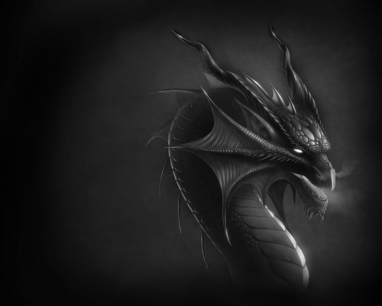 Black And White Dragon Wallpapers