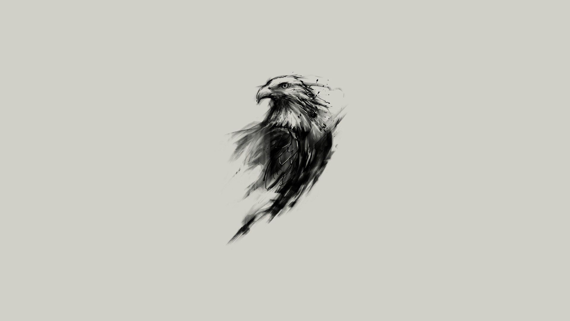 Black And White Eagle Pictures Wallpapers