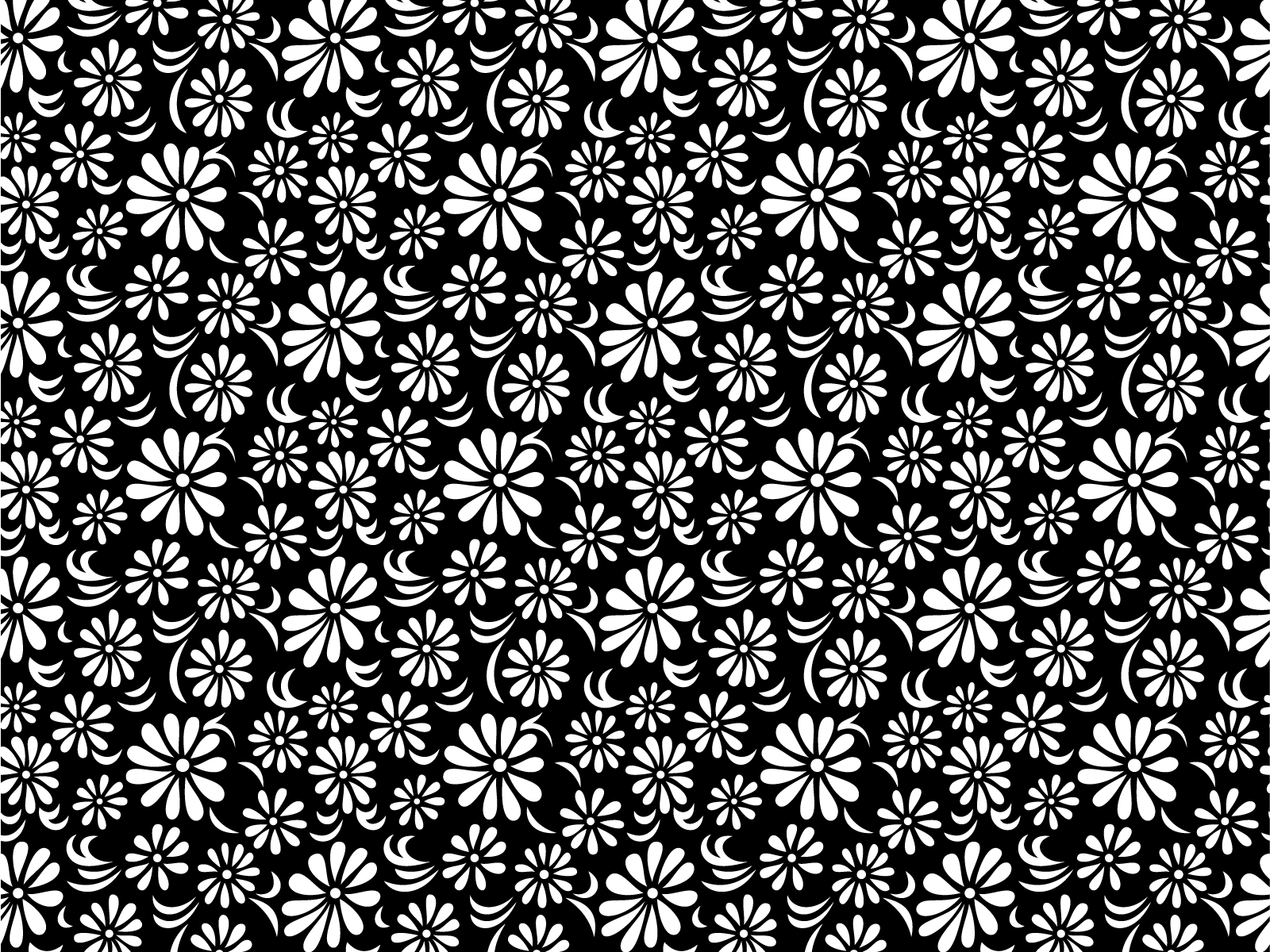 Black And White Floral Wallpapers