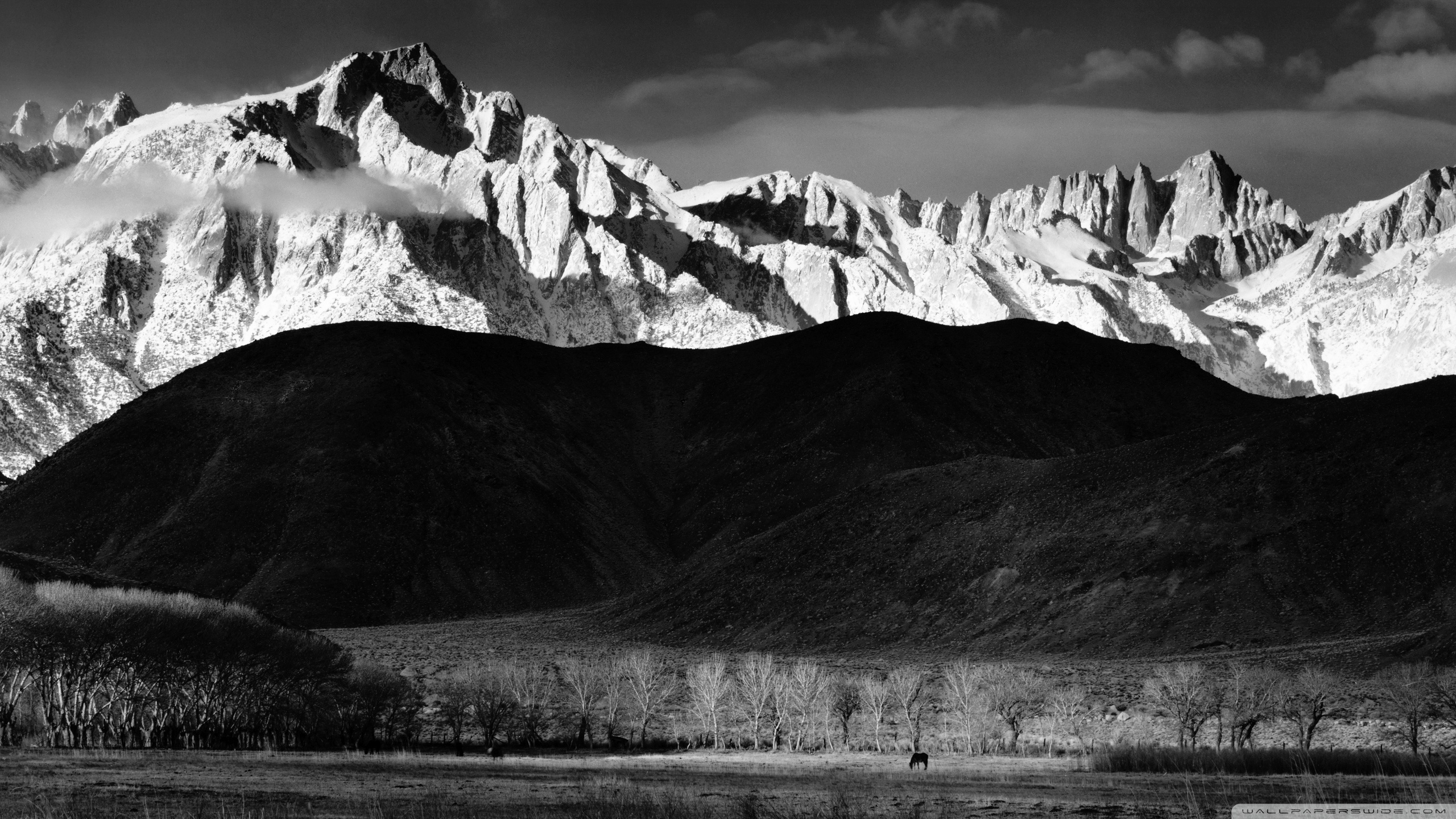 Black And White Landscape Wallpapers