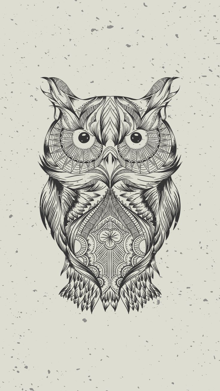 Black And White Owl Pictures Wallpapers