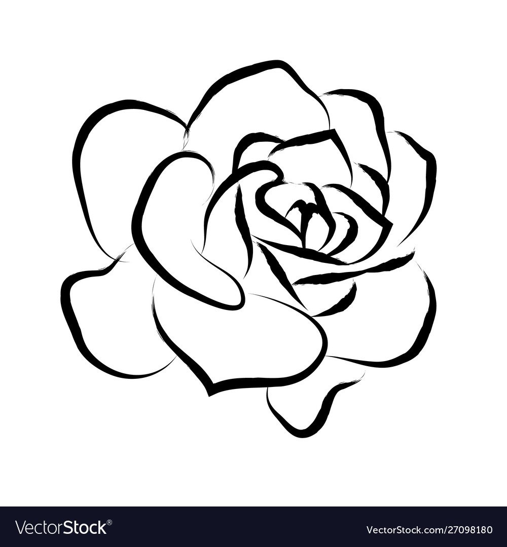 Black And White Rose Drawing Wallpapers