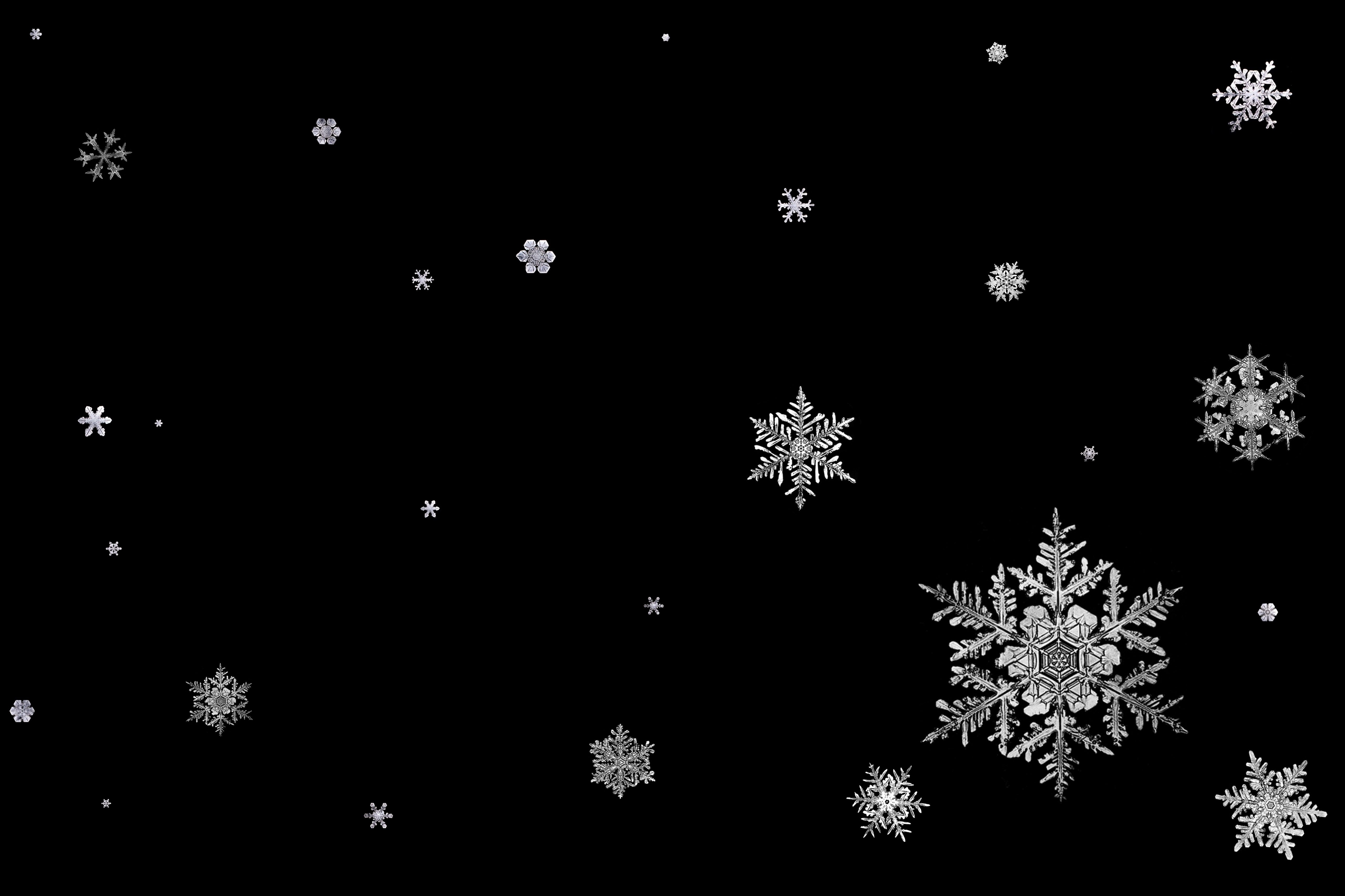 Black And White Snowflake Wallpapers