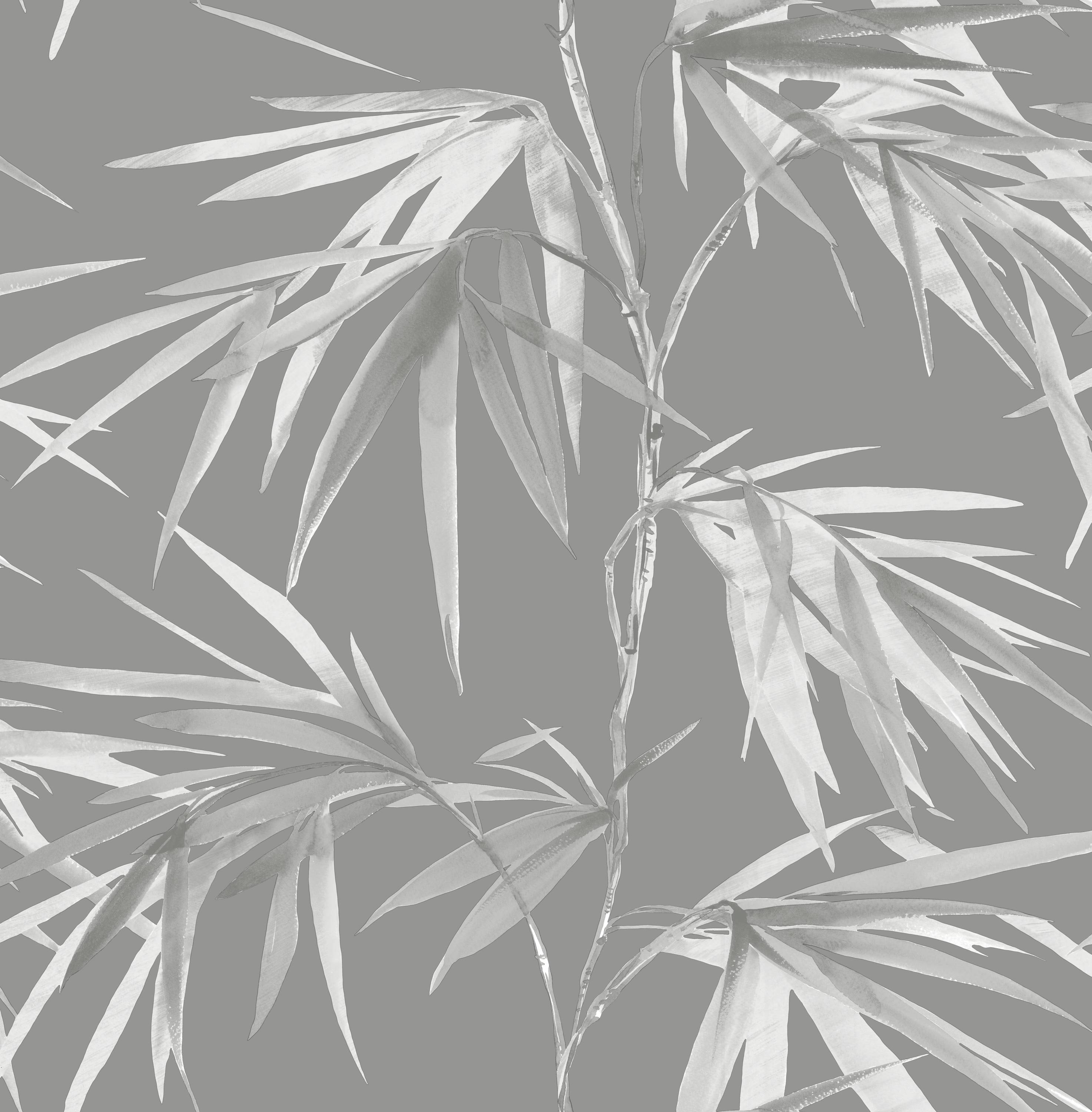 Black Bamboo Wallpapers