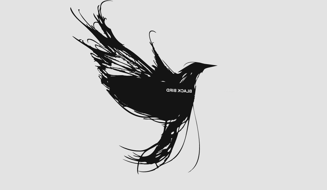 Black Bird Wallpapers