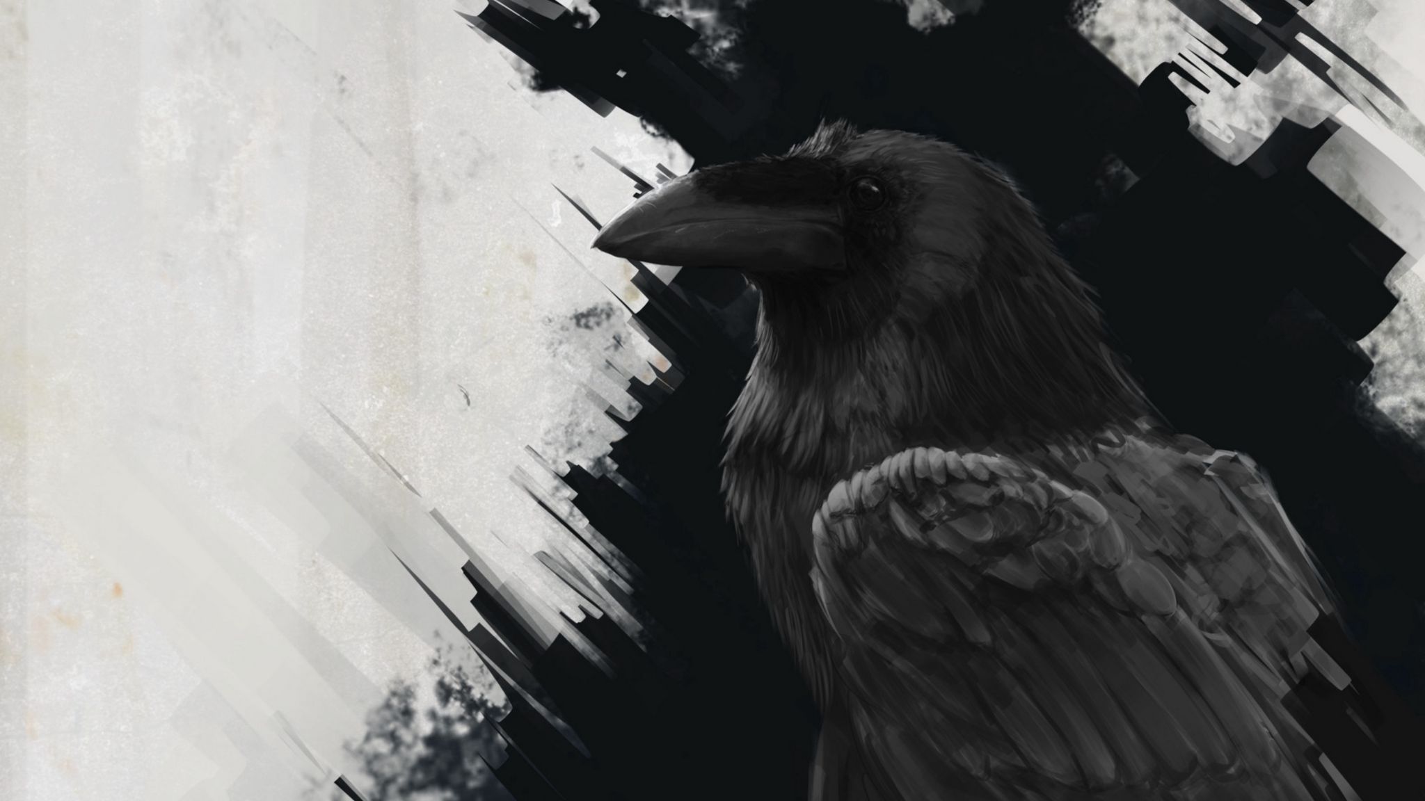 Black Bird Wallpapers