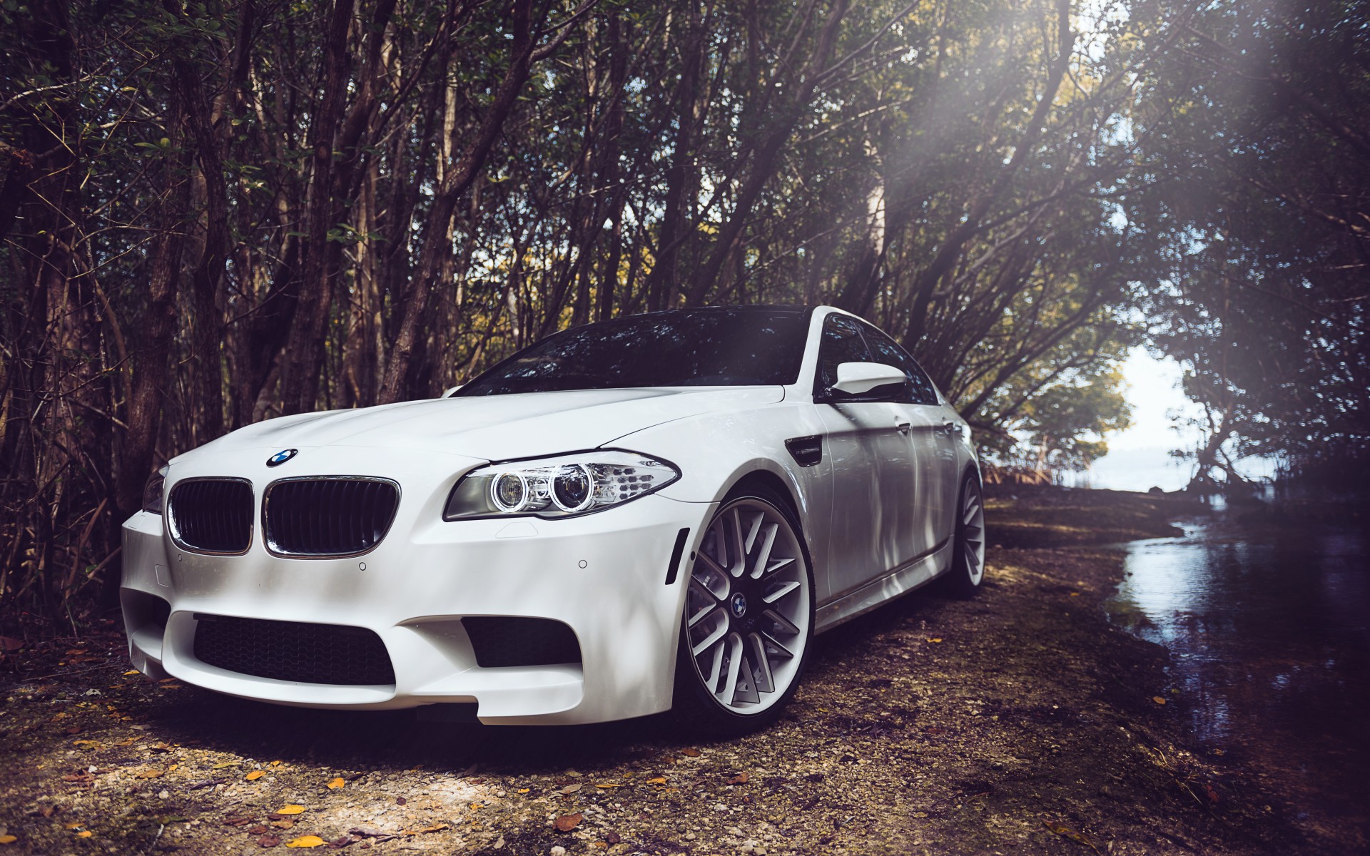 Black Bmw M5 Wallpapers