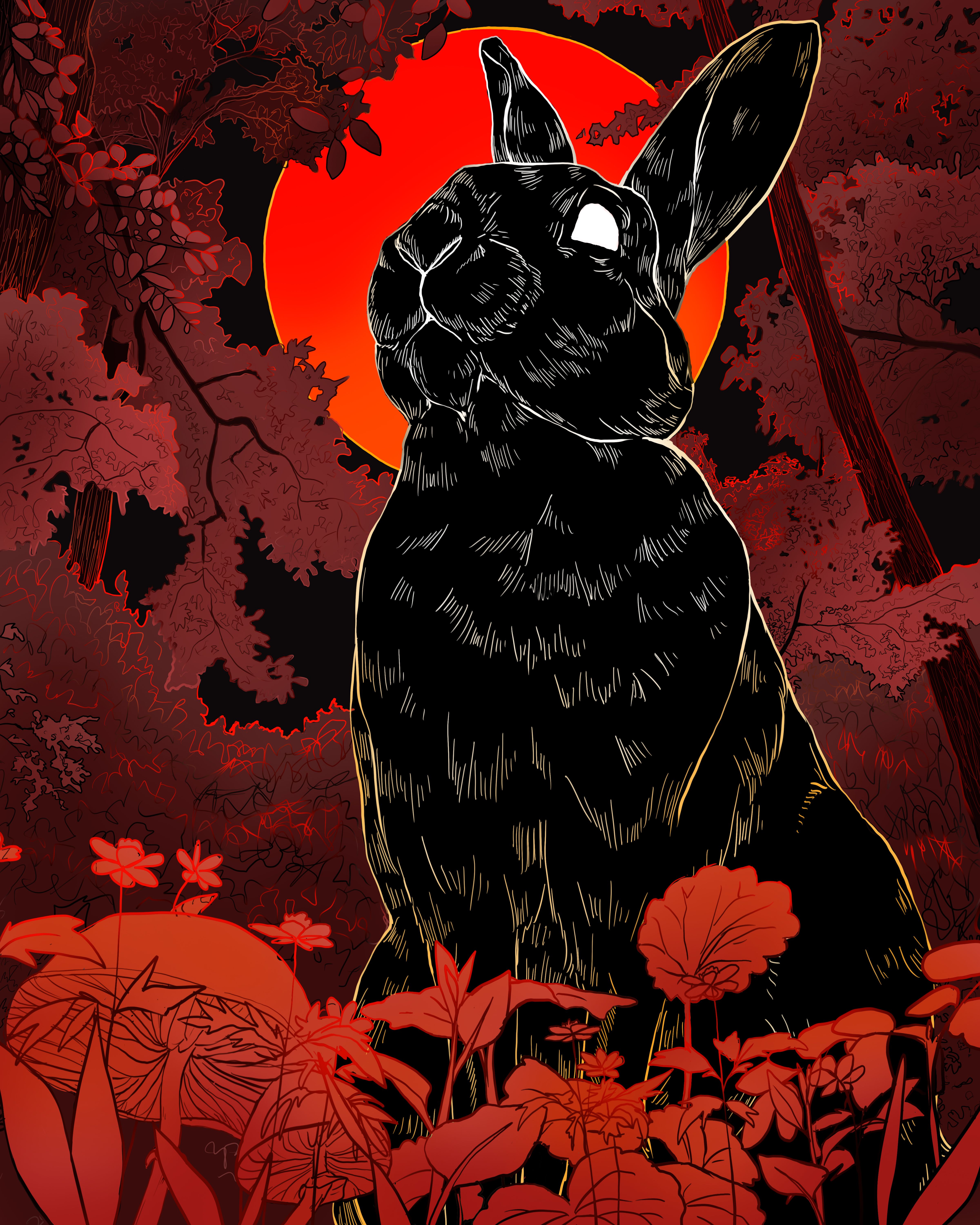 Black Bunnies Free Wallpapers